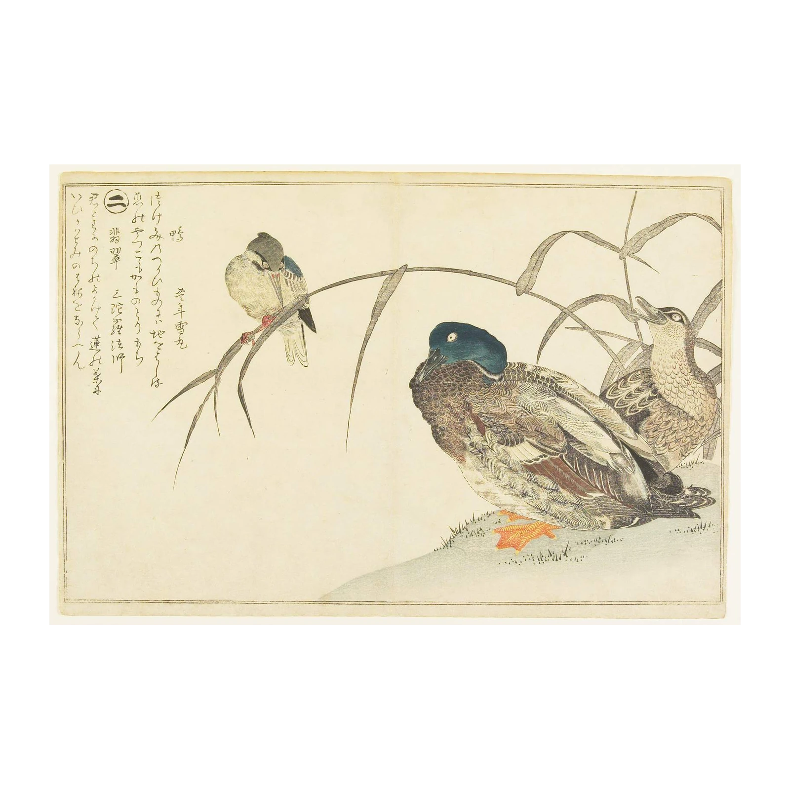 Japanese Ducks & Bird Bamboo Wall Art
