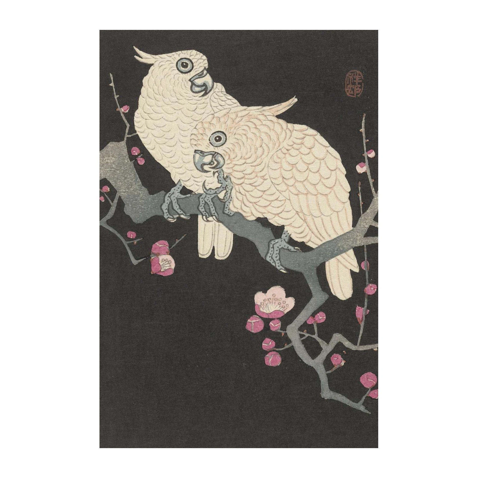 Elegant Cockatoos Plum Blossom Wall Art