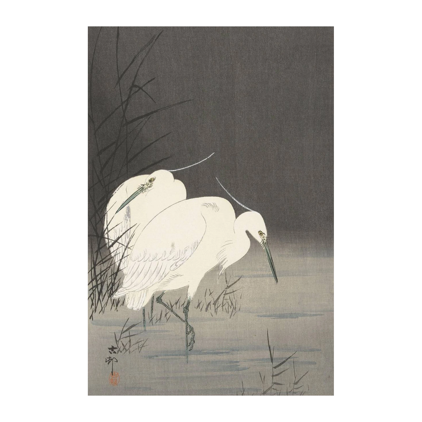 Serene Egrets by the Water Wall Art