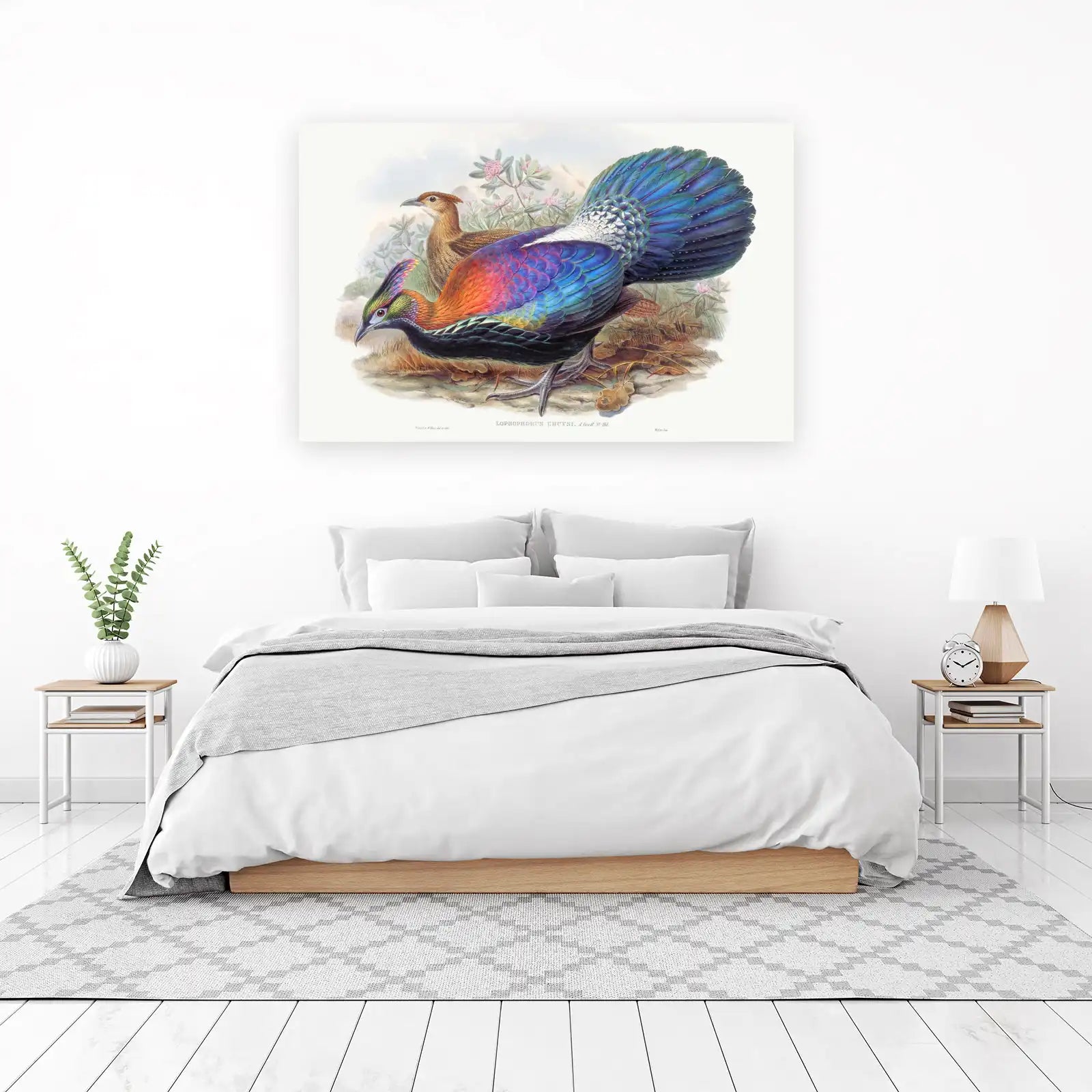 Vibrant Pheasant & Companion Wall Art