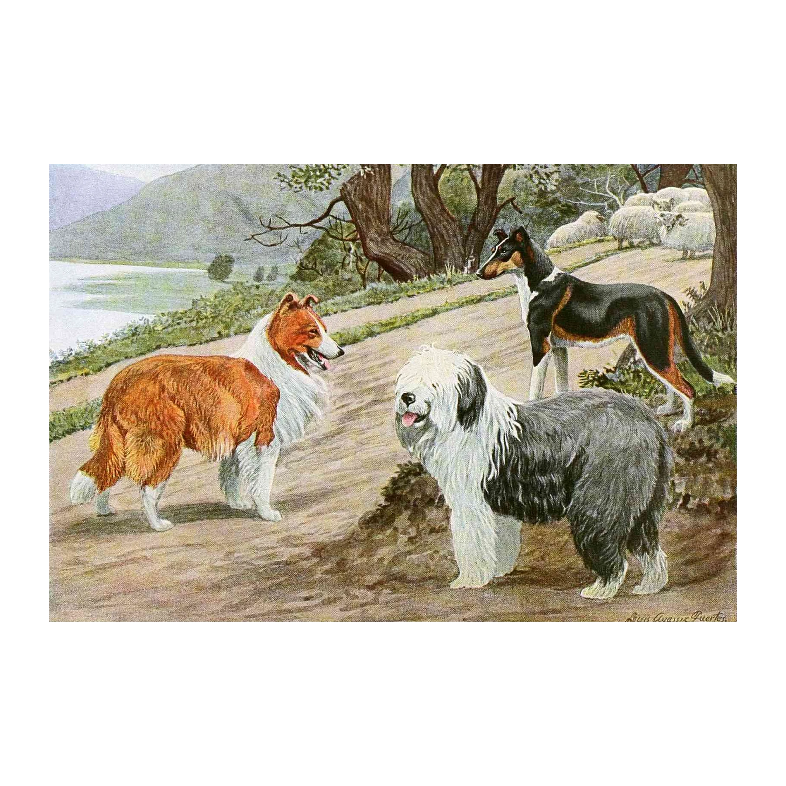 Vintage Dog Breeds Landscape Wall Art