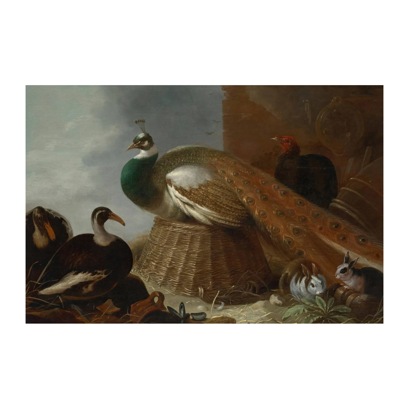 Elegant Peacock & Wildlife Still Life Wall Art
