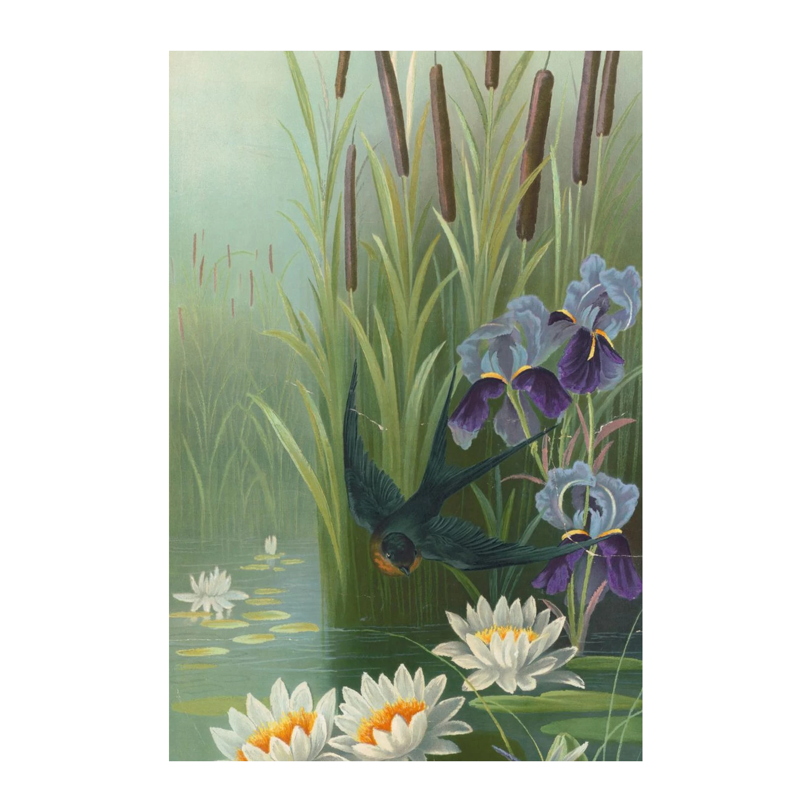 Serene Pond Scene Swallow & Iris Wall Art