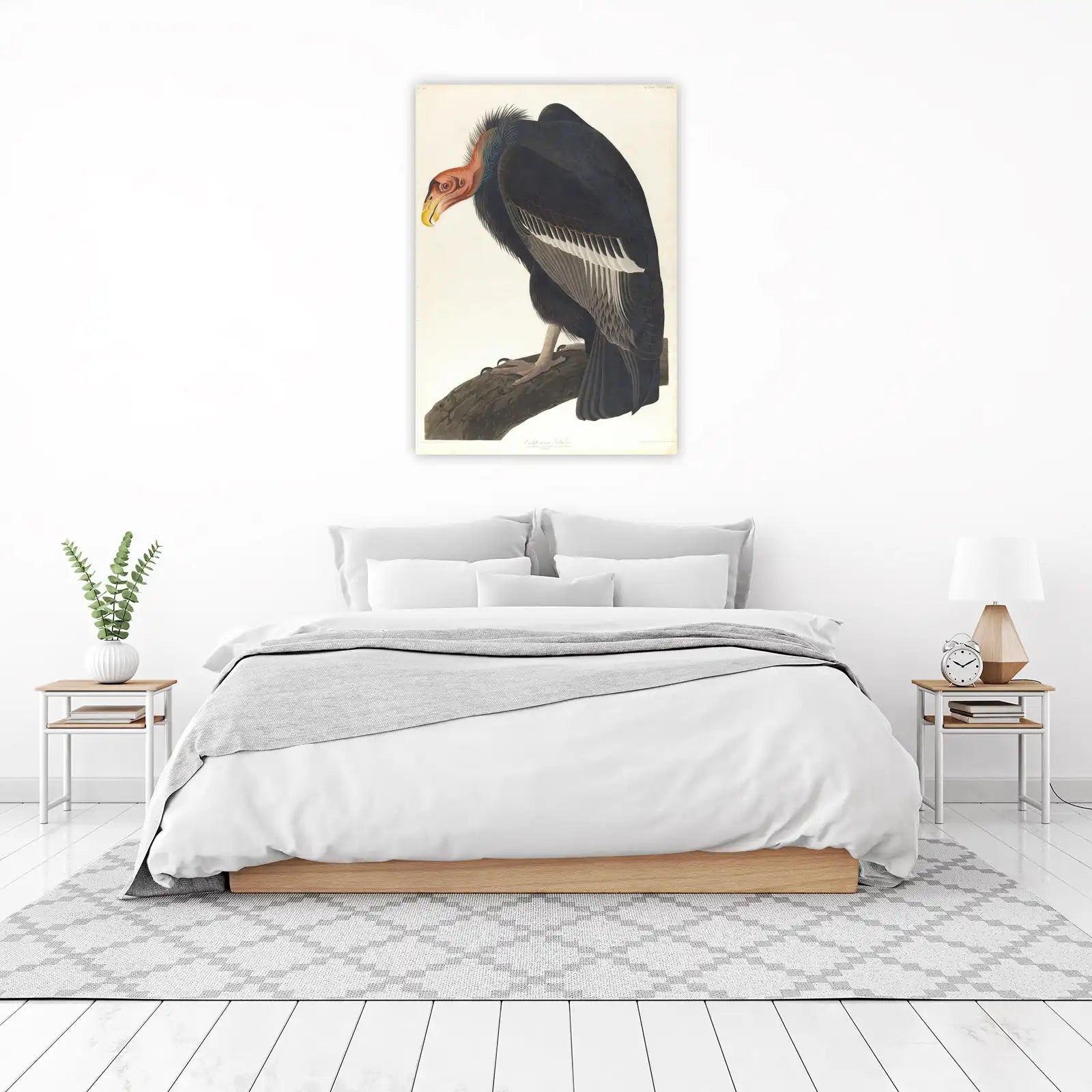 Majestic Californian Vulture Vintage Bird Wall Art