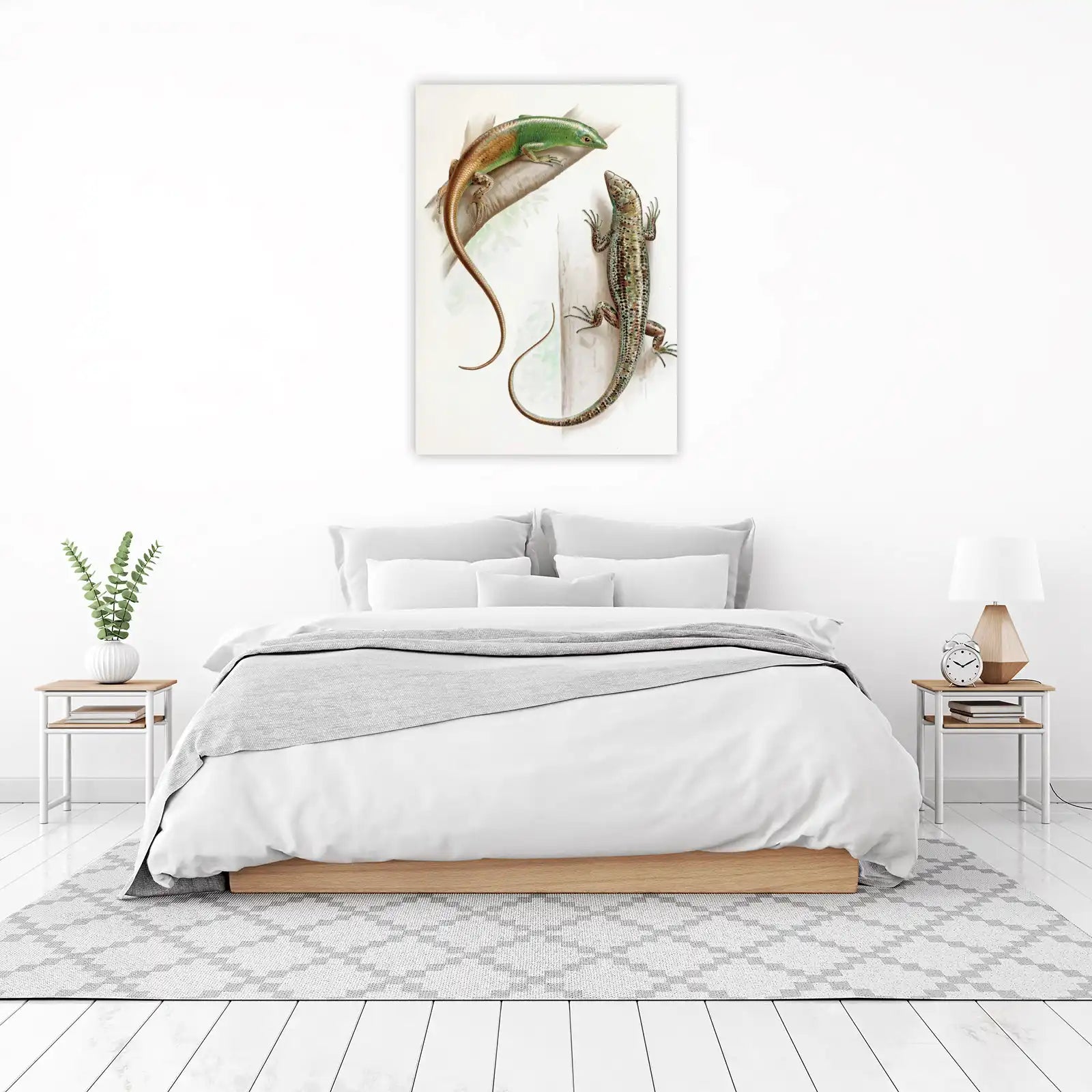 Vibrant Lizard Art: Vintage Natural History Wall Art