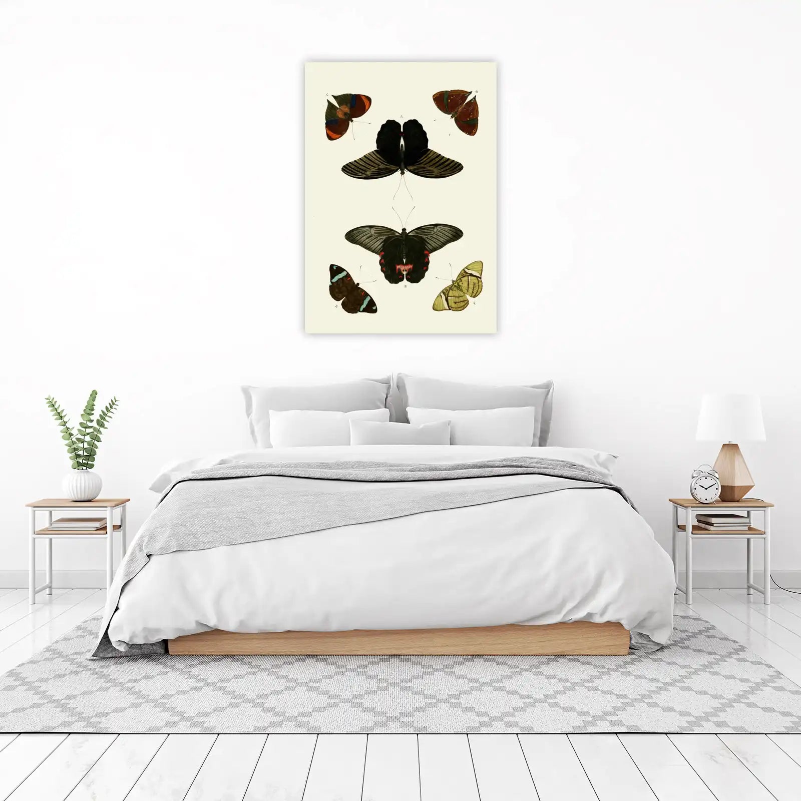 Exotic Butterfly Collection Vintage Art Wall Art