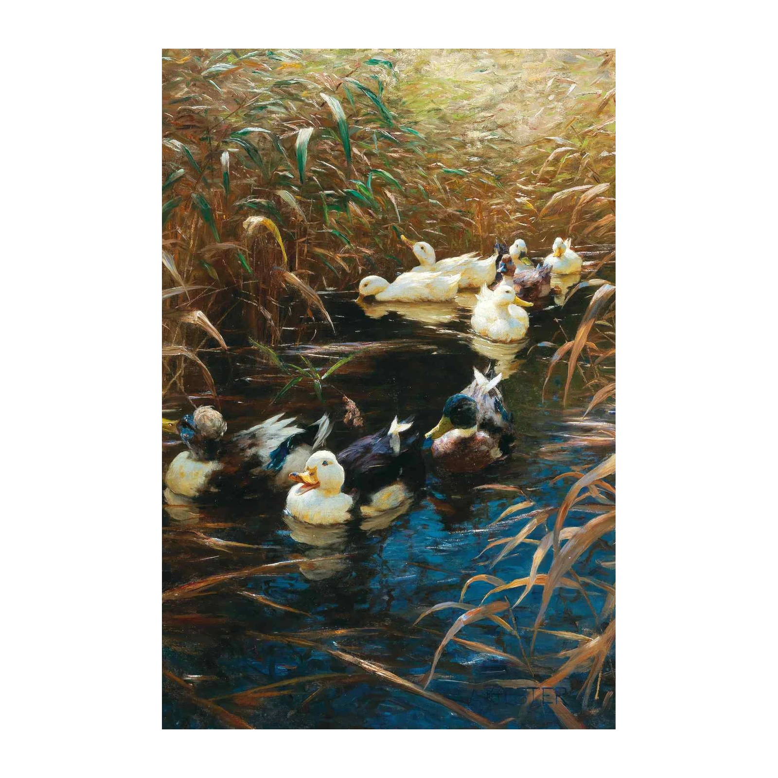Serene Duck Pond Oil Painting Wall Art