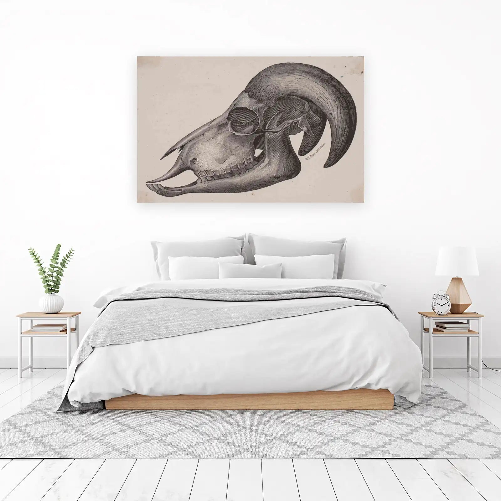 Vintage Ram Skull Detailed Engraving Wall Art