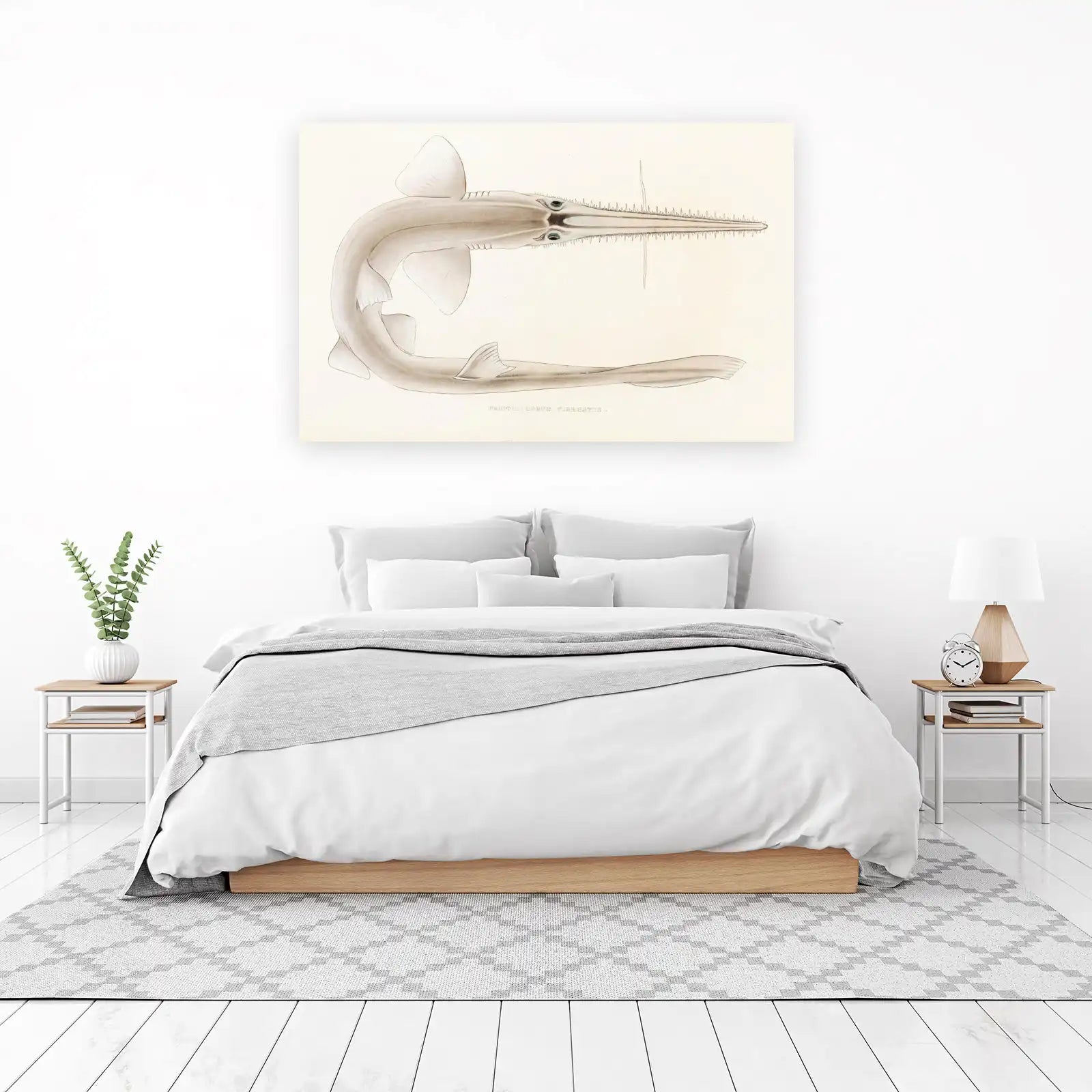 Vintage Sawfish Marine Life Wall Art
