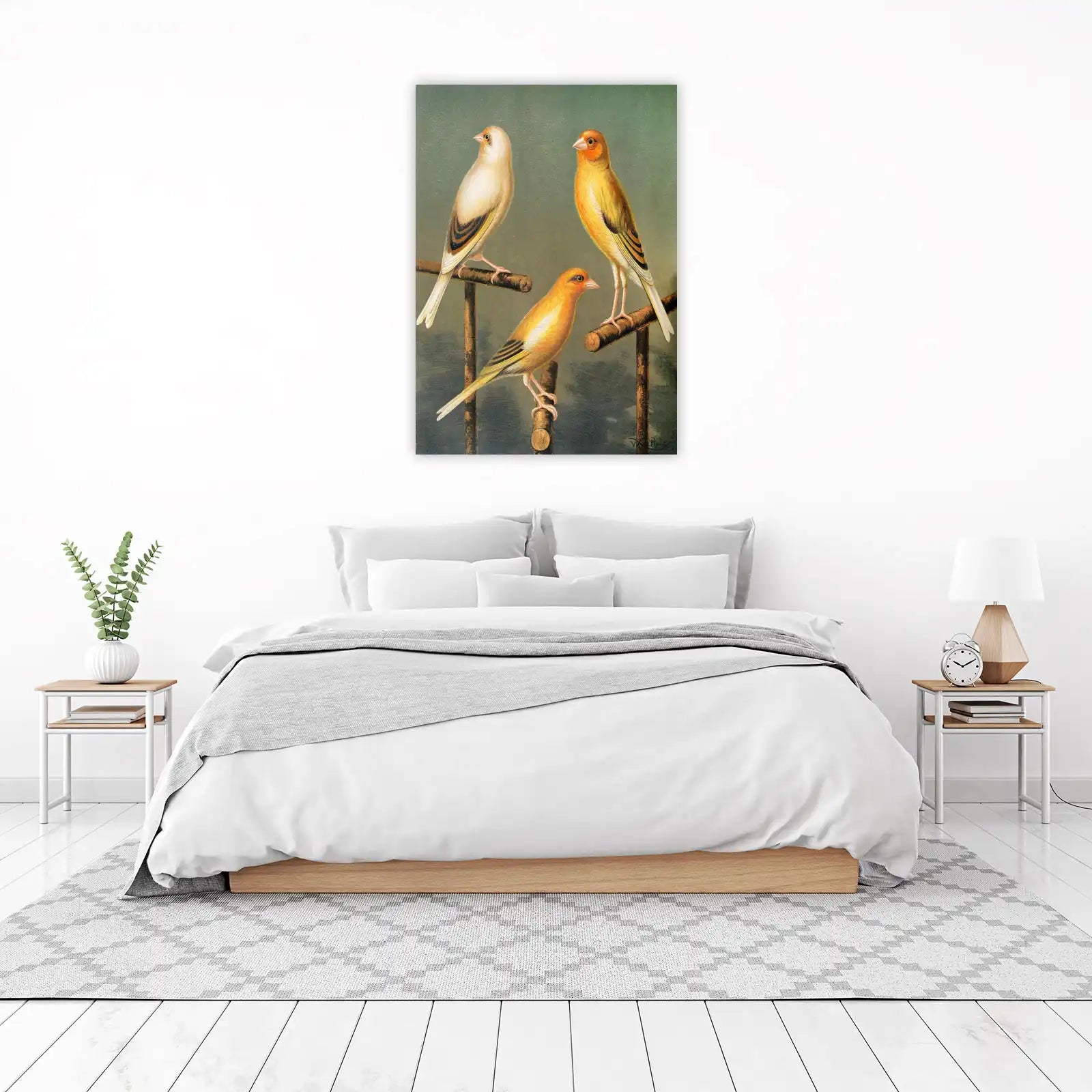 Vintage Canary Trio Bird Art Wall Art