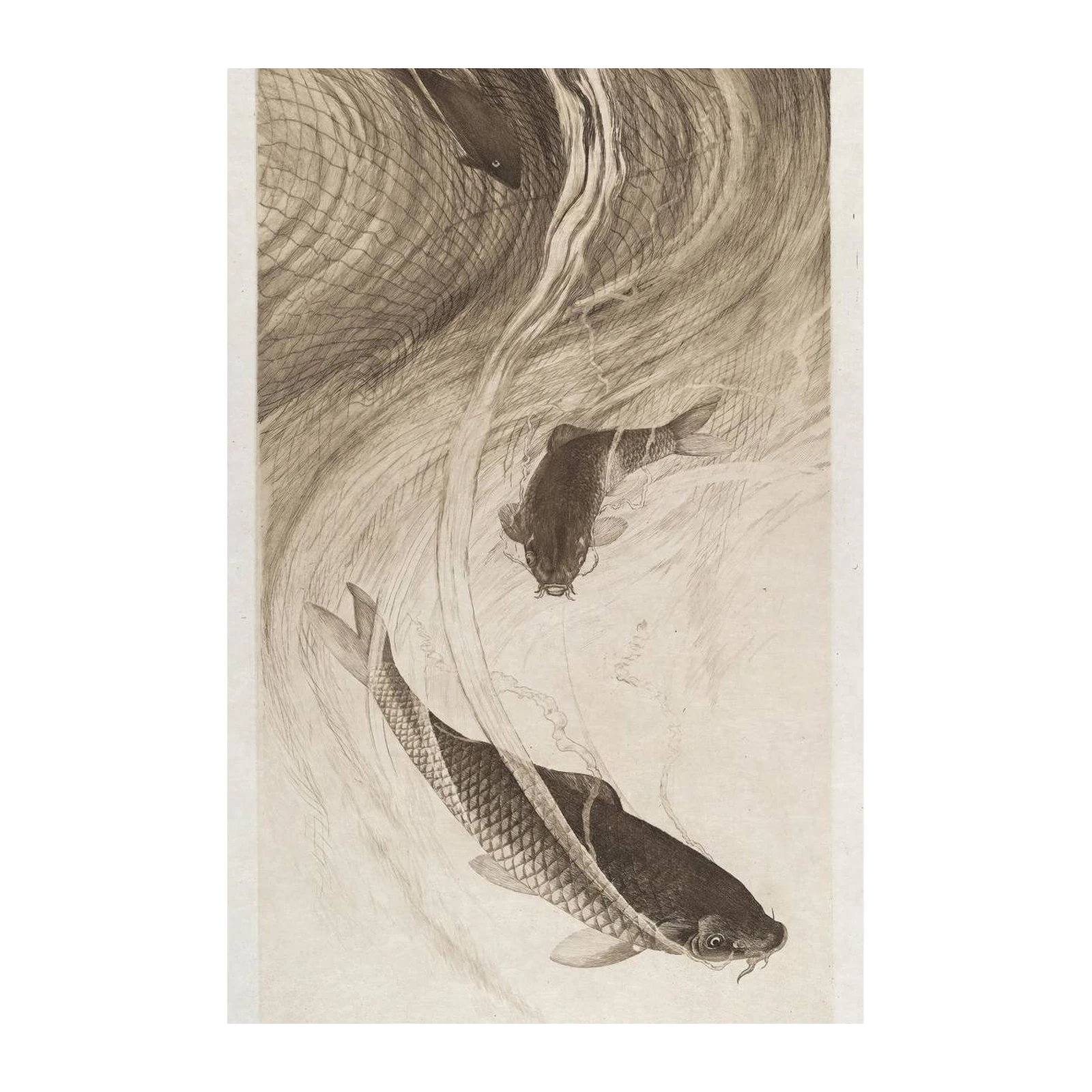 Elegant Koi Fish Underwater Scene Wall Art