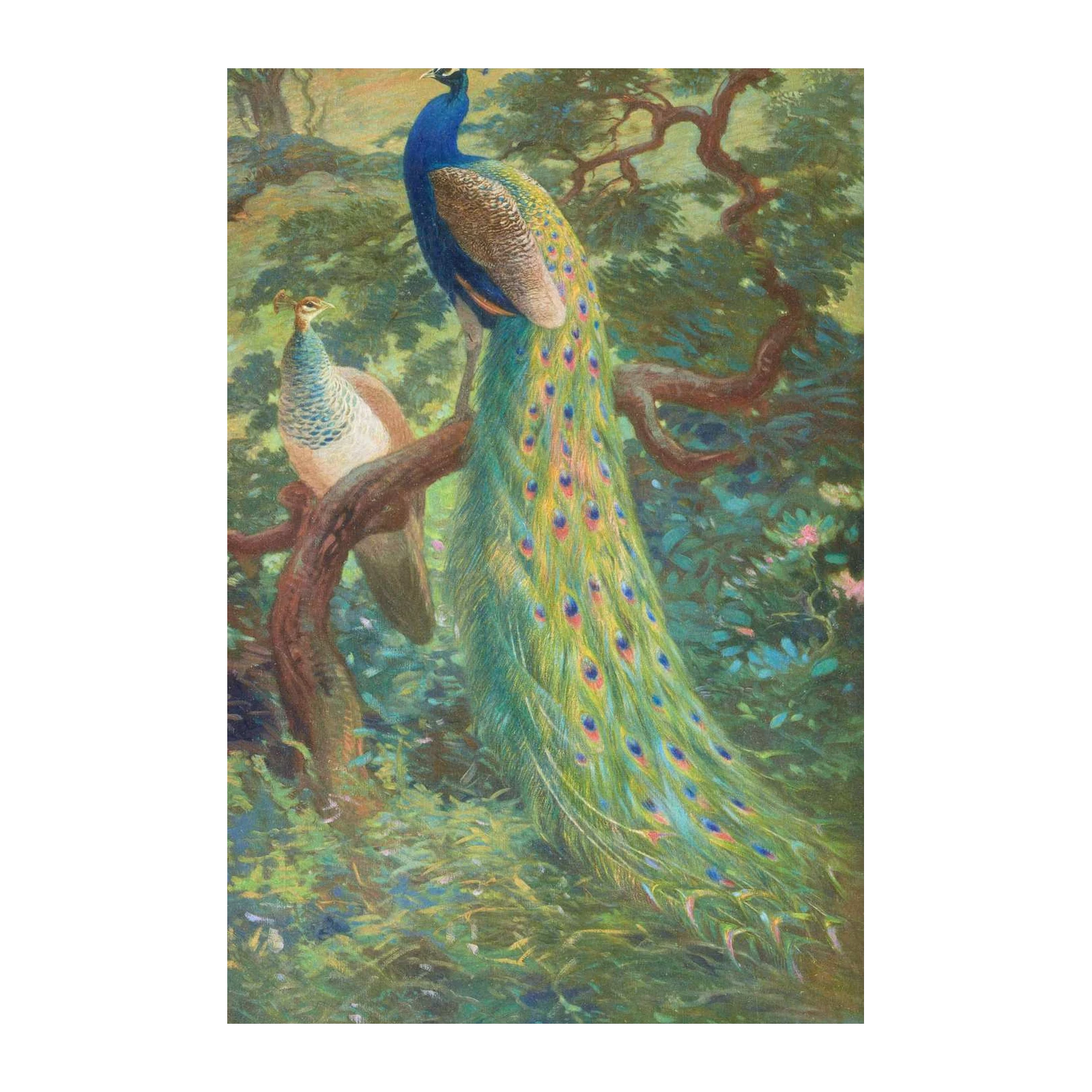 Majestic Peacocks Nature Scene Wall Art