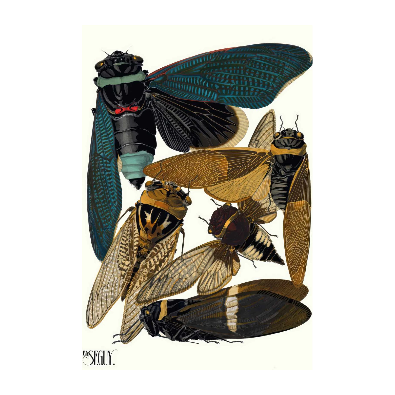 Vintage Cicada Insect Art Wall Art