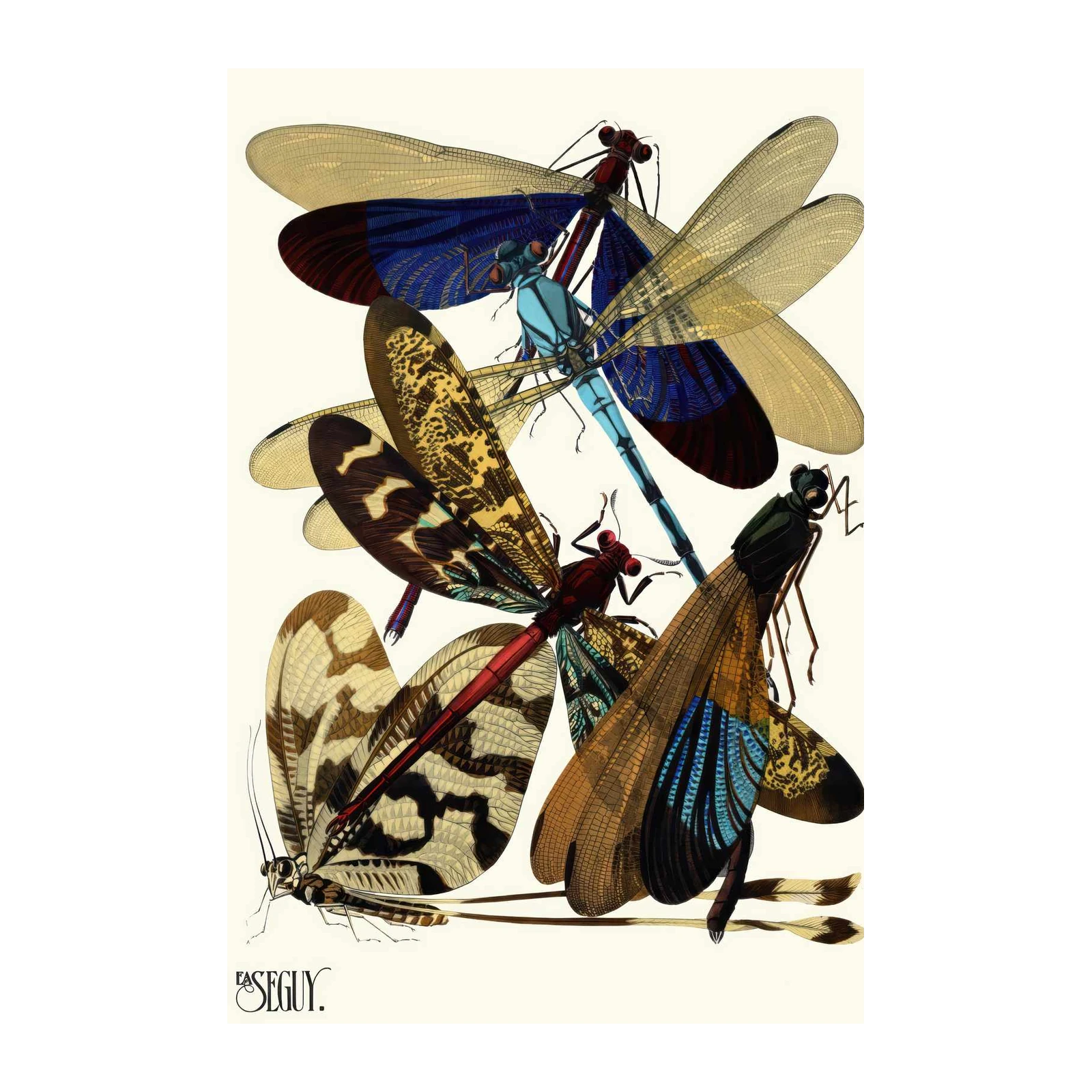Vintage Dragonfly Art Print | Insect Nature Wall Art