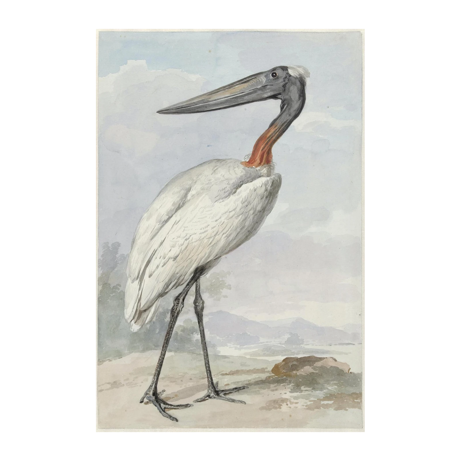 Elegant White Bird Nature Art Wall Art