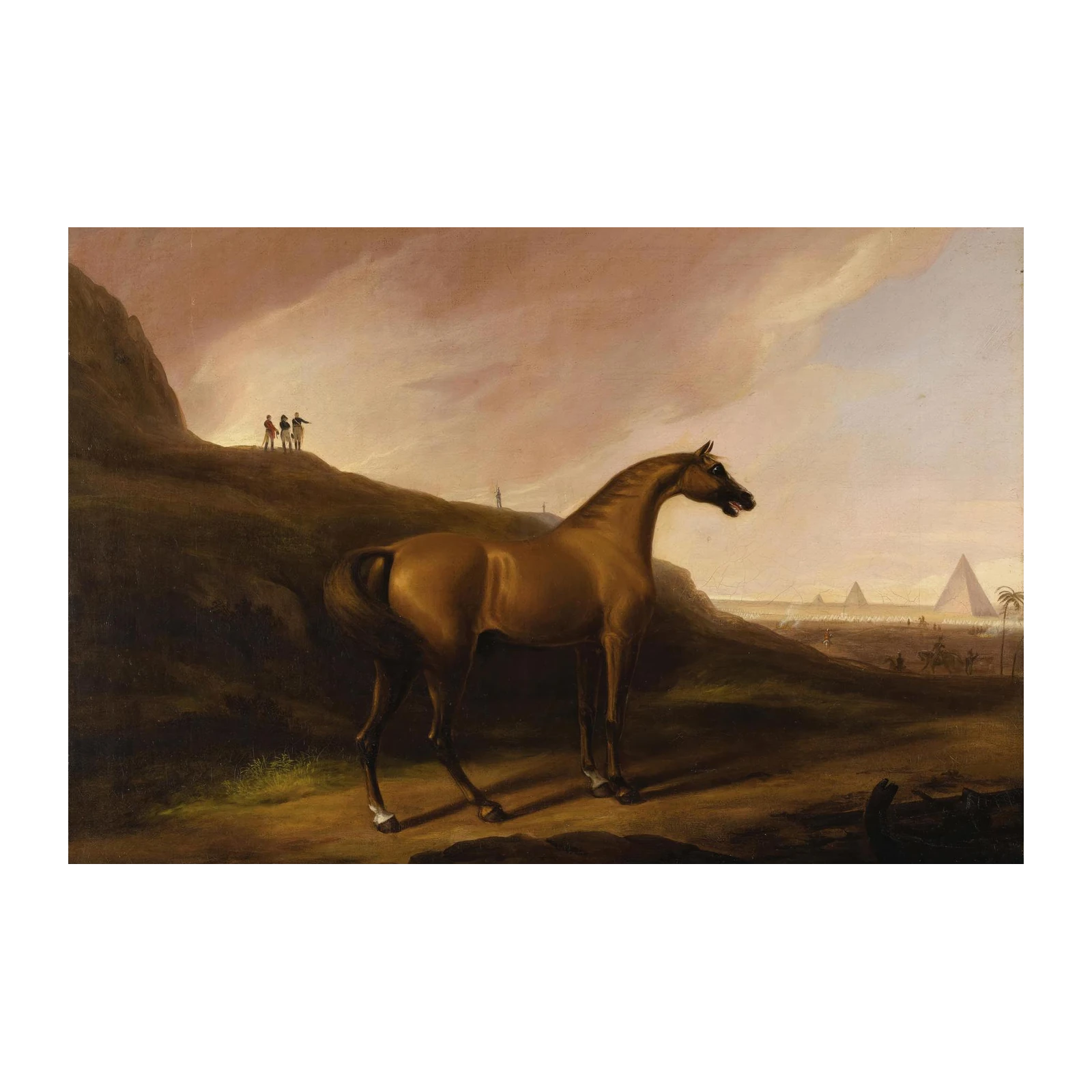 Majestic Arabian Horse in Egyptian Desert Wall Art