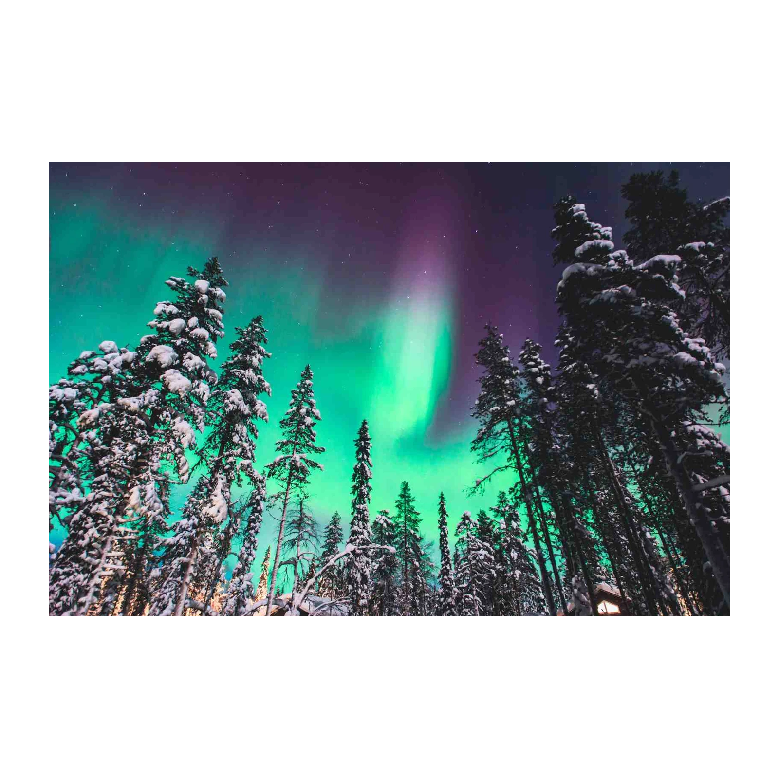 Enchanting Aurora Borealis Snow Forest Wall Art
