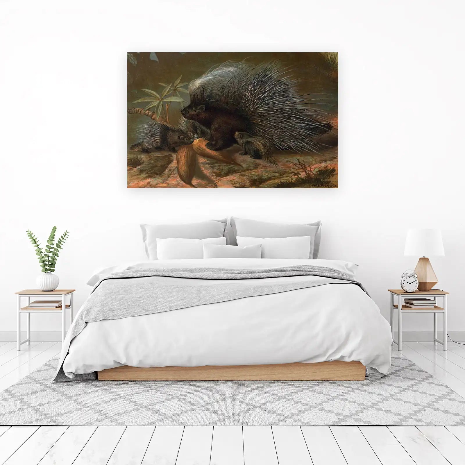 Vintage Porcupine Family Wildlife Wall Art