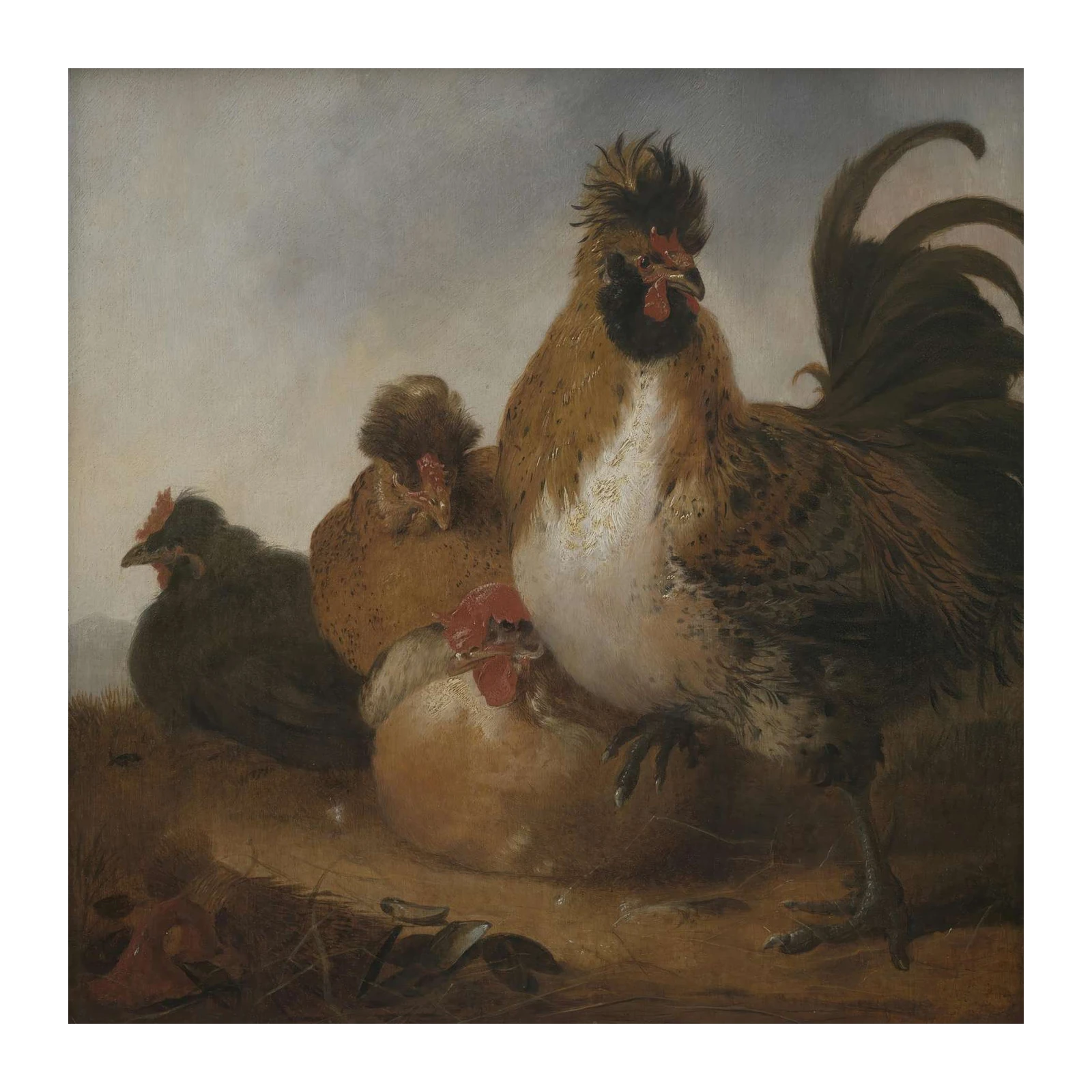 Rooster and Hens Realistic Farm Art Wall Art