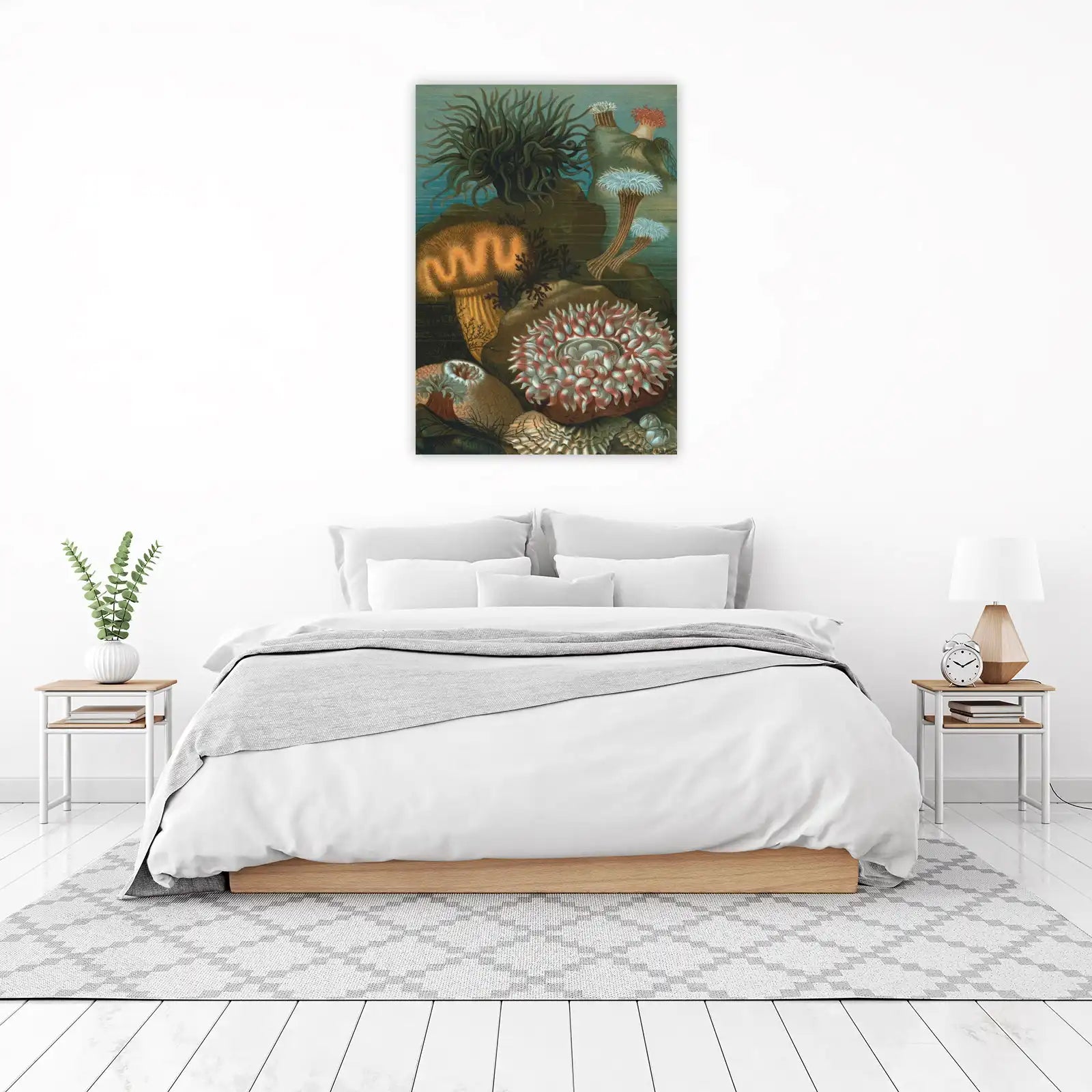 Vintage Sea Anemone Illustration Wall Art