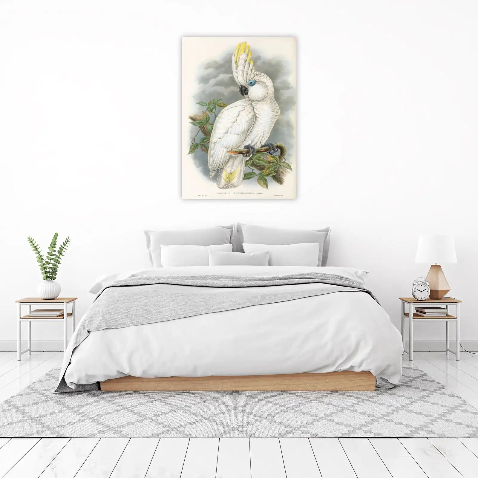 Elegant Cockatoo Bird Vintage Botanical Wall Art
