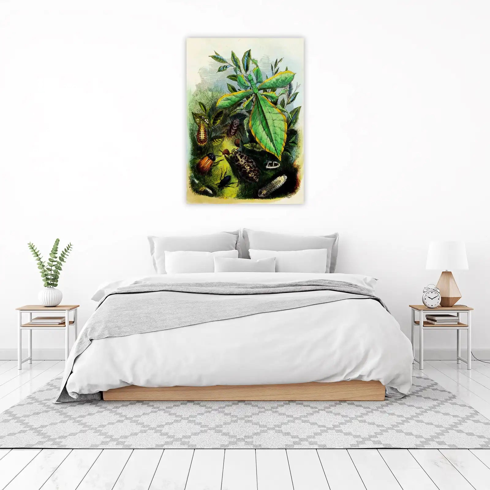 Vintage Insect & Leaf Phasmid Wall Art