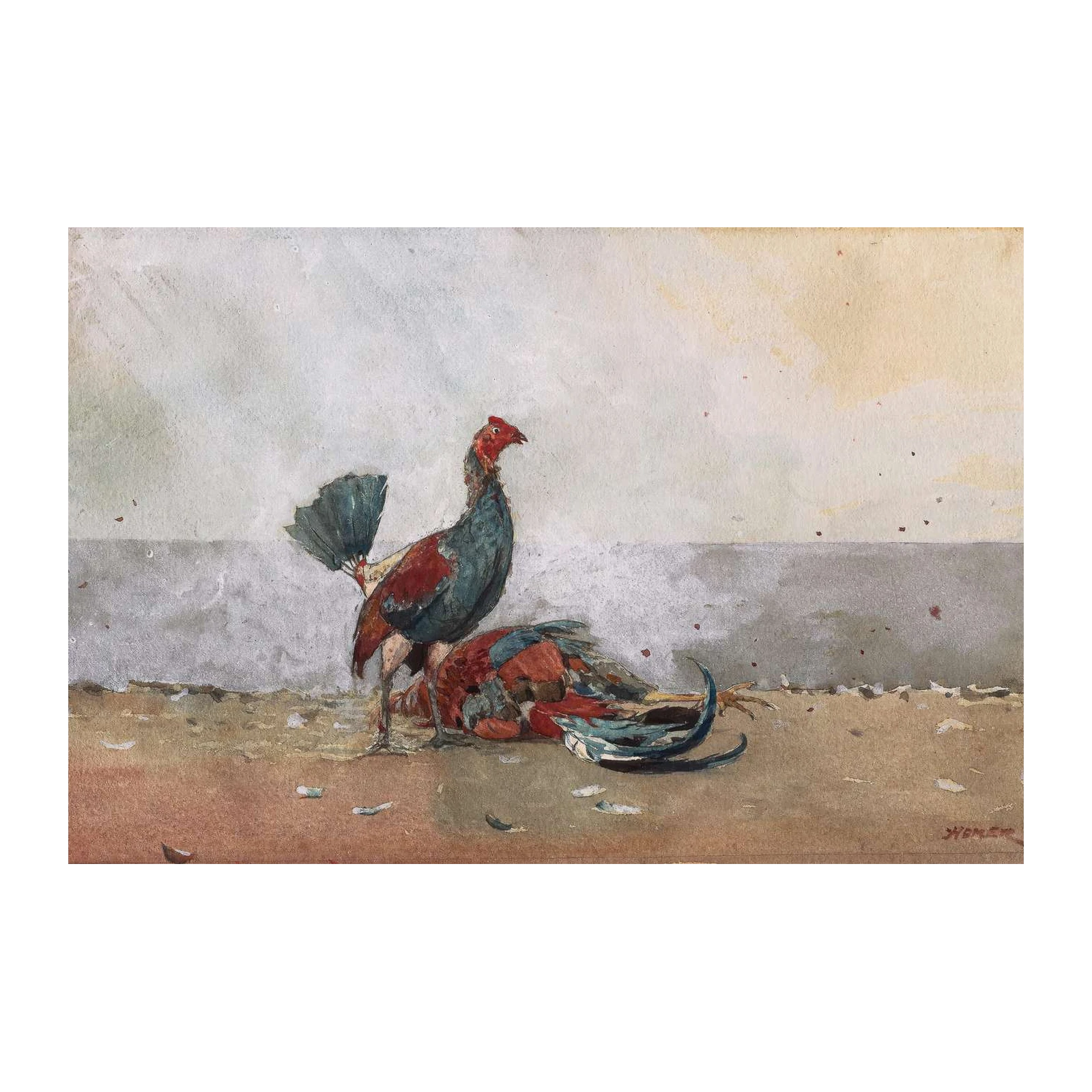 Rooster Fight Watercolor Wall Art