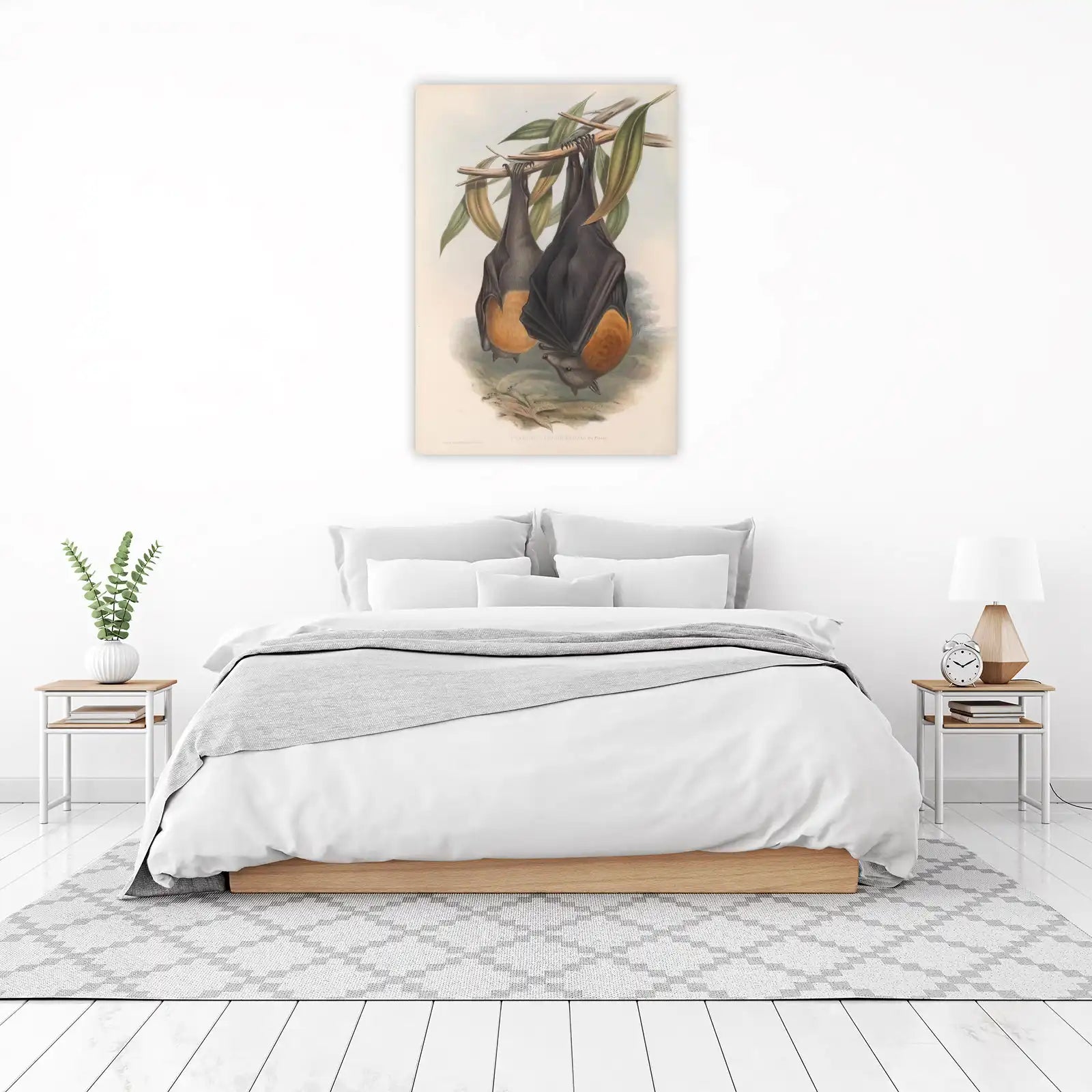 Vintage Fruit Bats Wall Art Wall Art