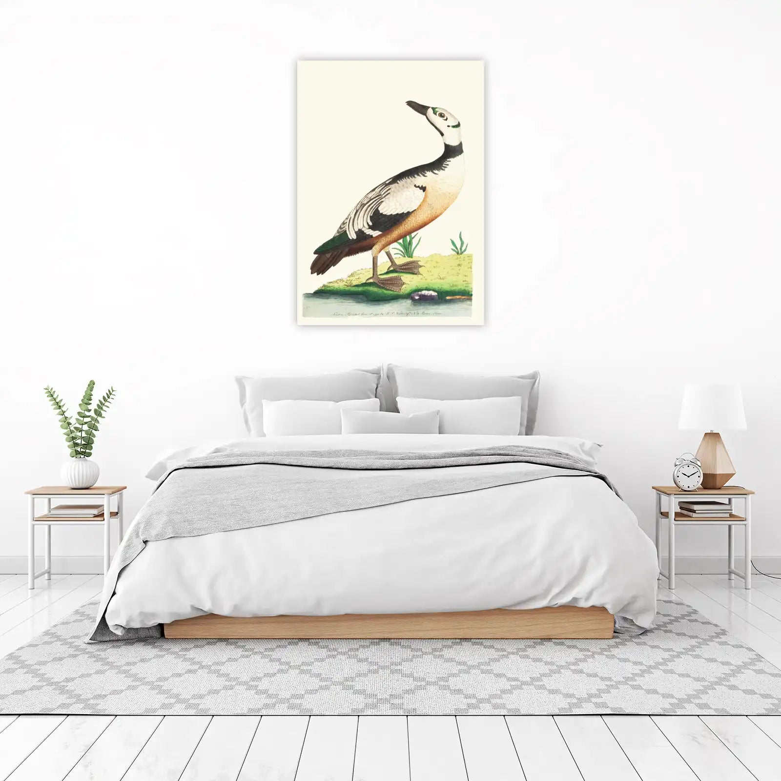 Vintage Duck Wildlife Nature Art Wall Art