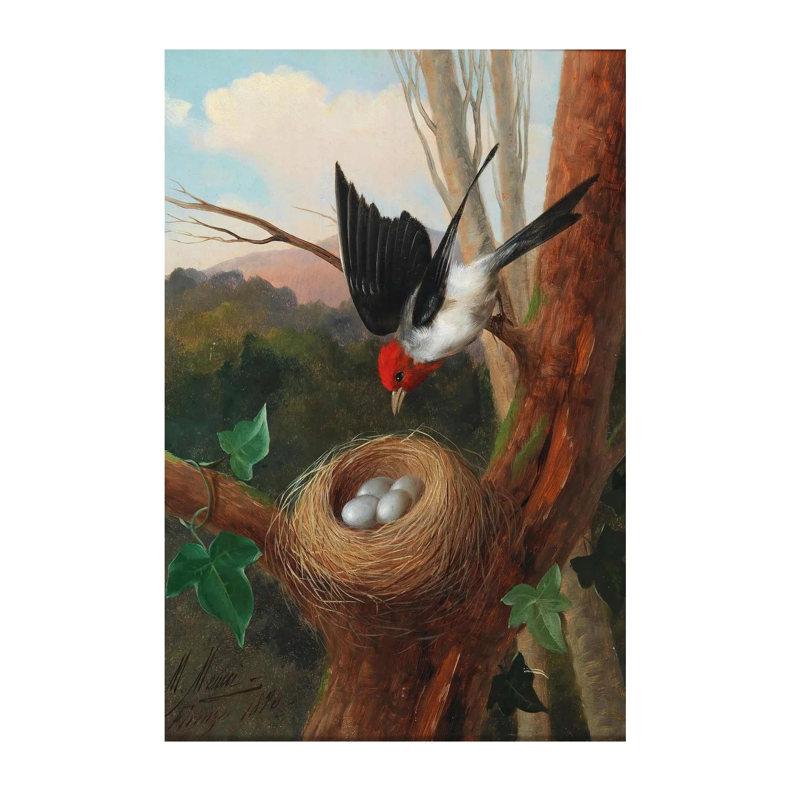 Bird Nest with Eggs Vintage Nature Wall Art