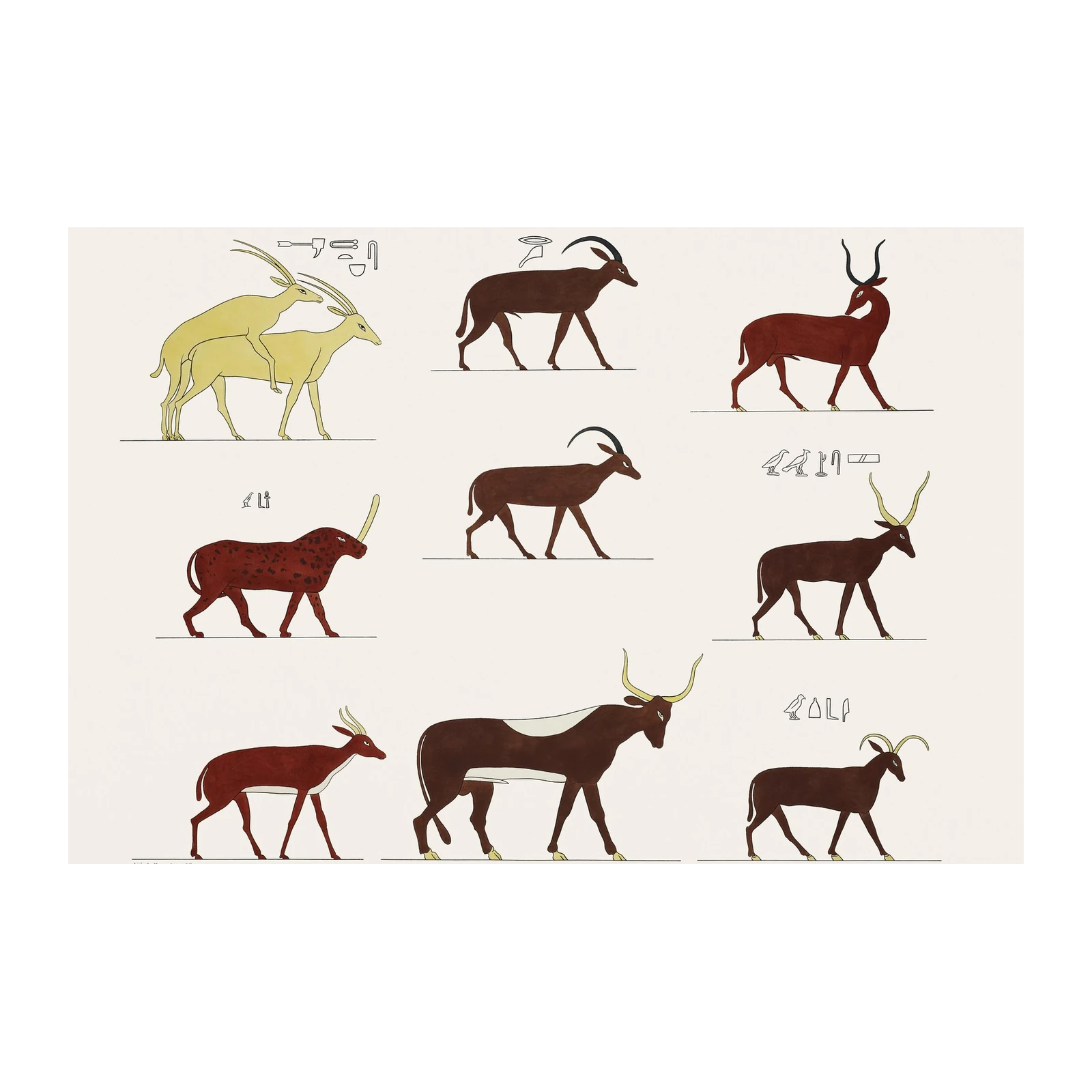 Ancient Egyptian Animals Wall Art - Pharaoh Art