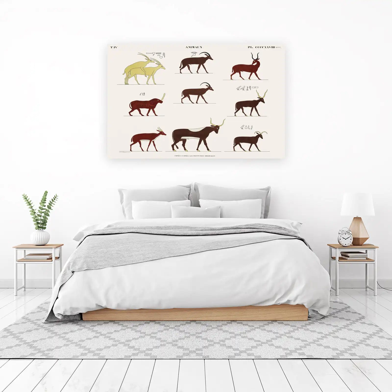 Ancient Egyptian Animals Wall Art - Pharaoh Art