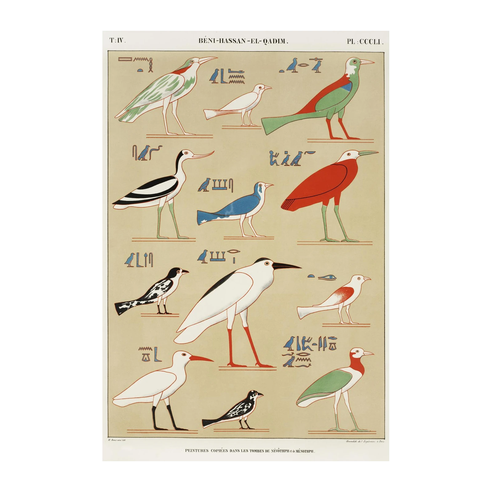 Vintage Egyptian Bird Art Wall Art