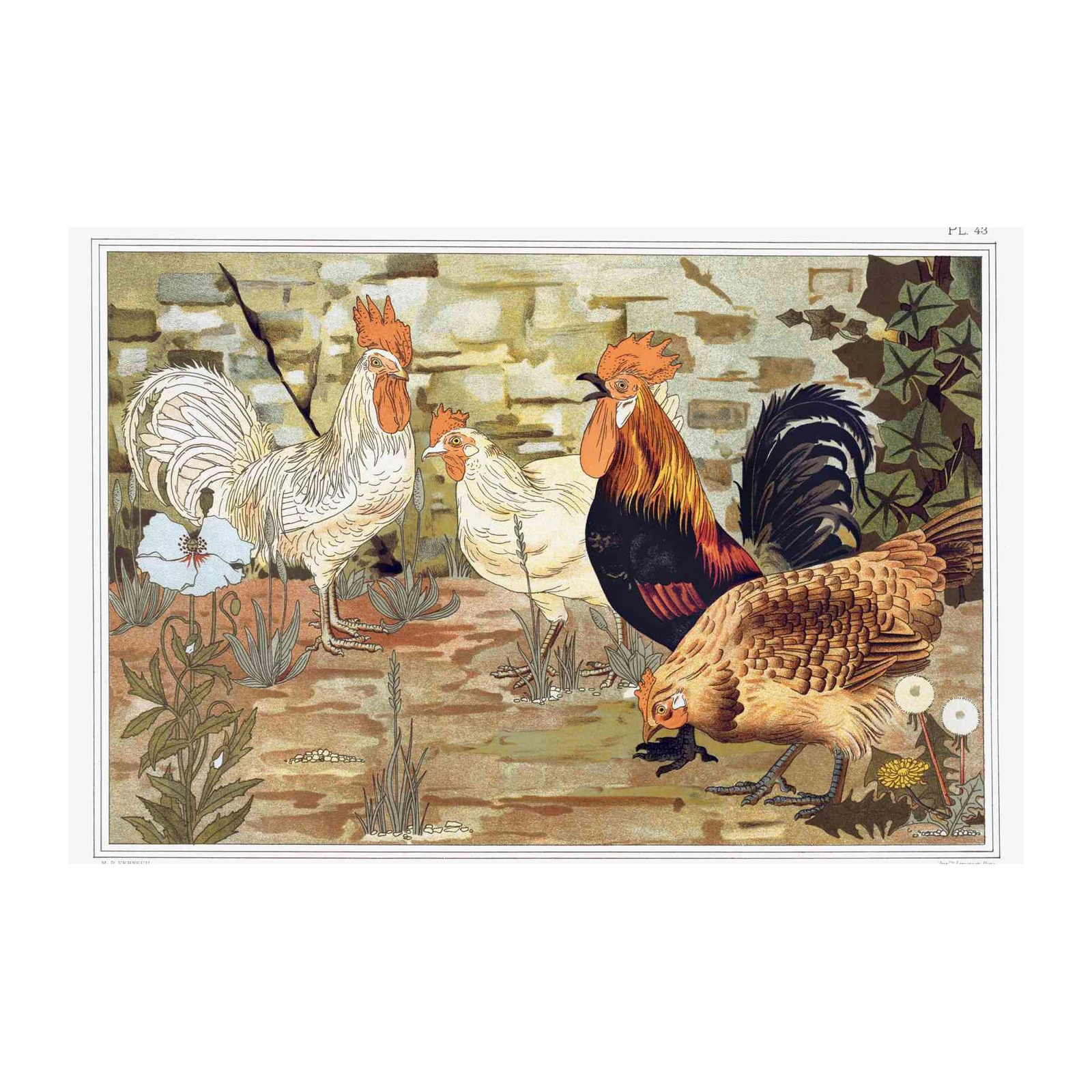 Vintage Rooster & Hen Farmhouse Wall Art