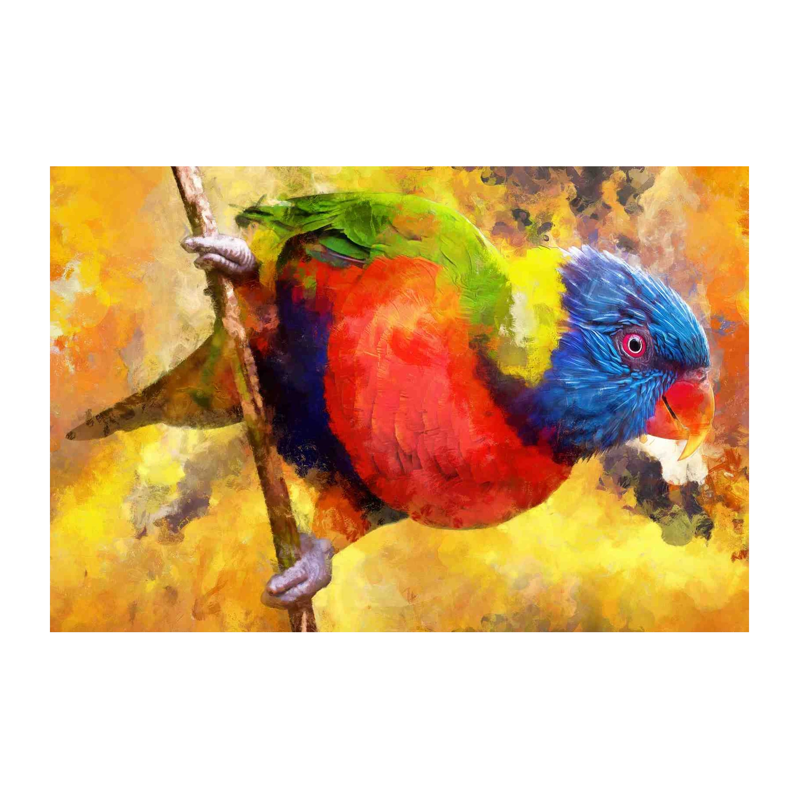 Vibrant Rainbow Lorikeet Wall Art Wall Art