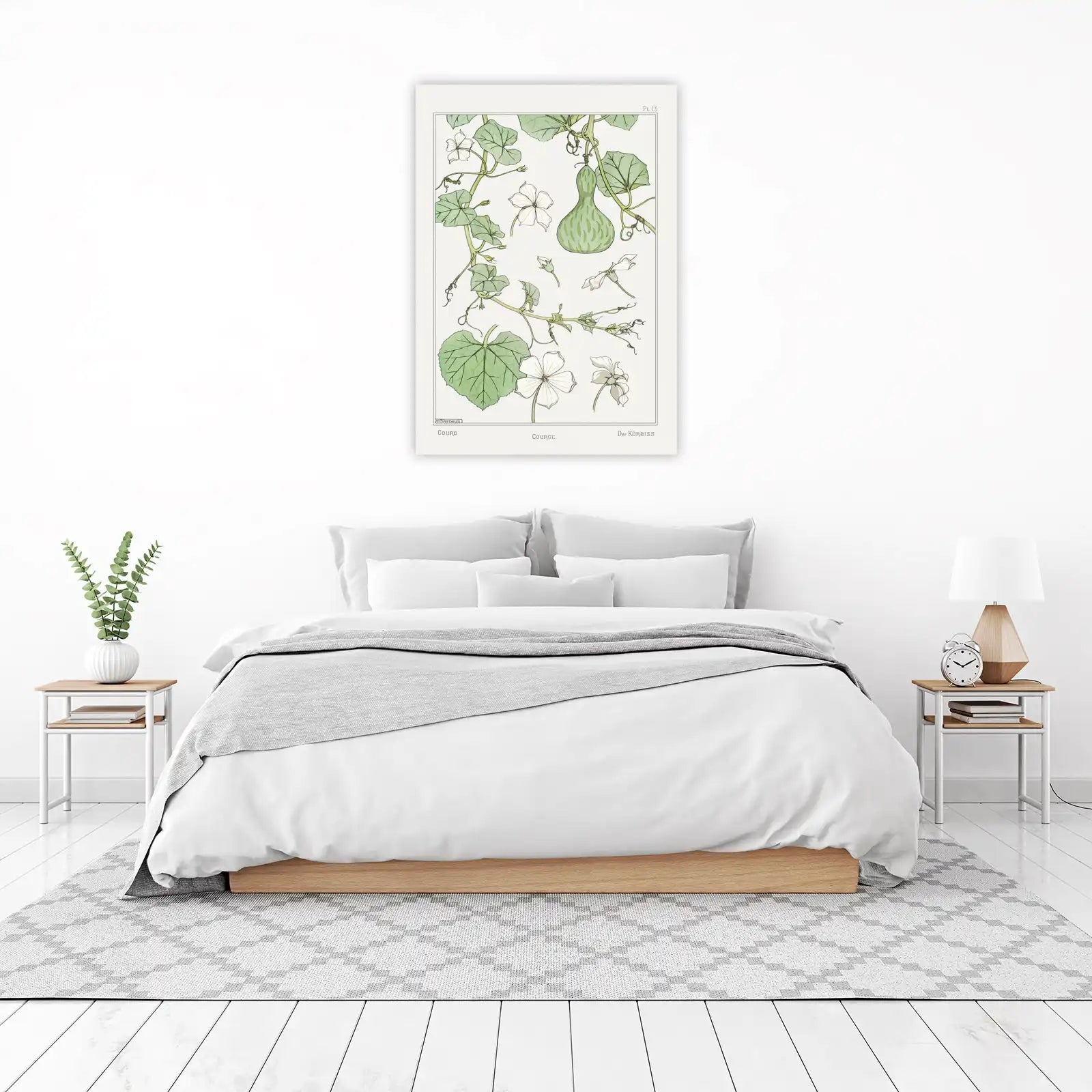 Gourd Botanical Illustration Wall Art