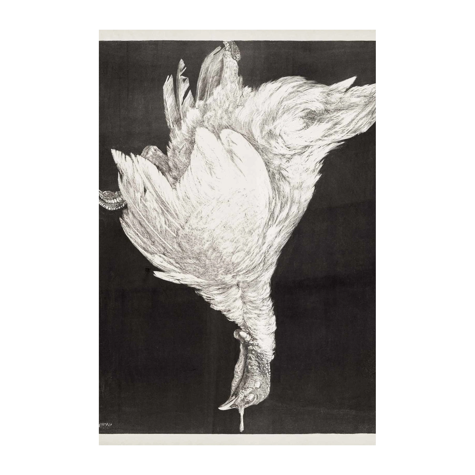 Grisaille Turkey Still Life Wall Art