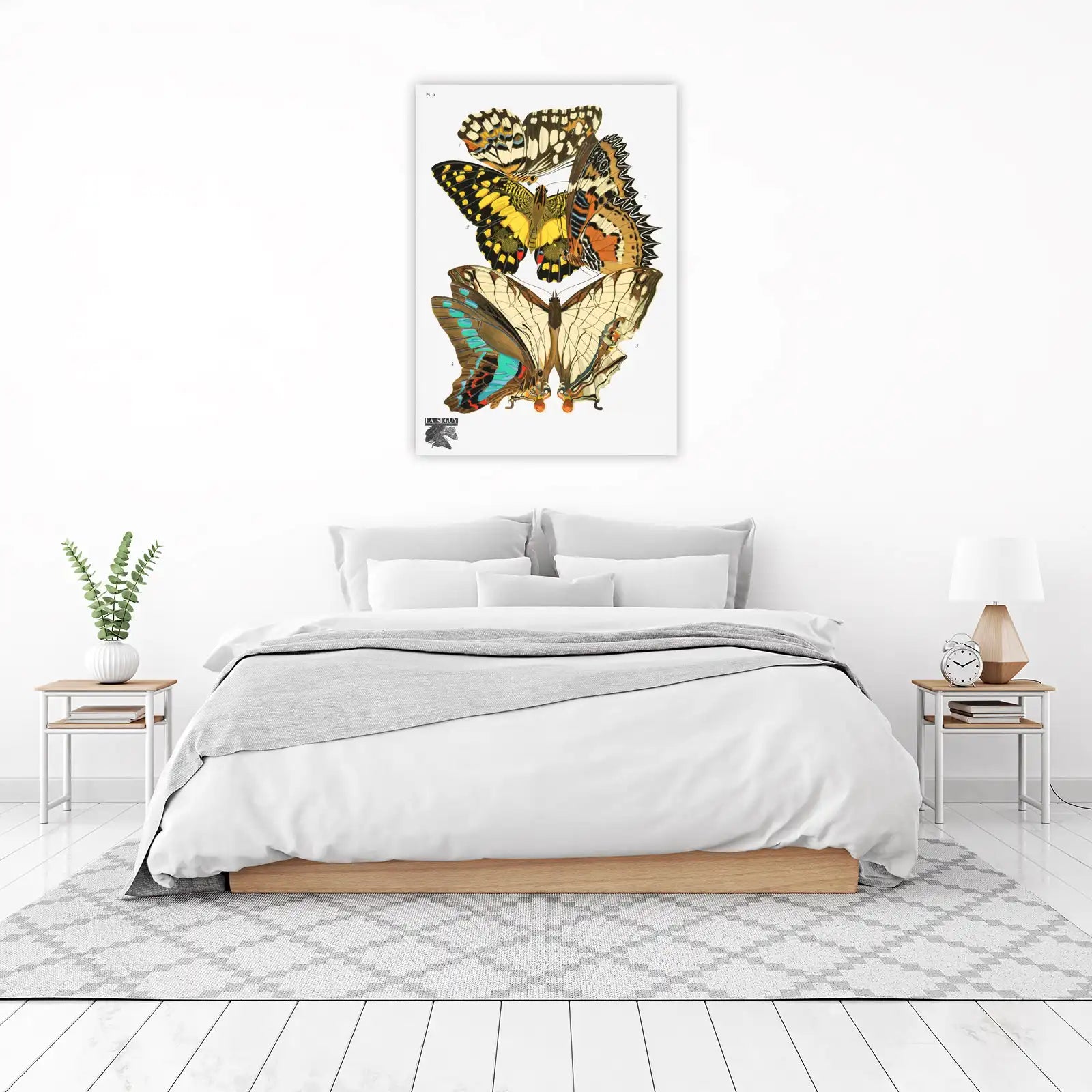 Vintage Butterfly Art Print - E.A. Seguy Wall Art