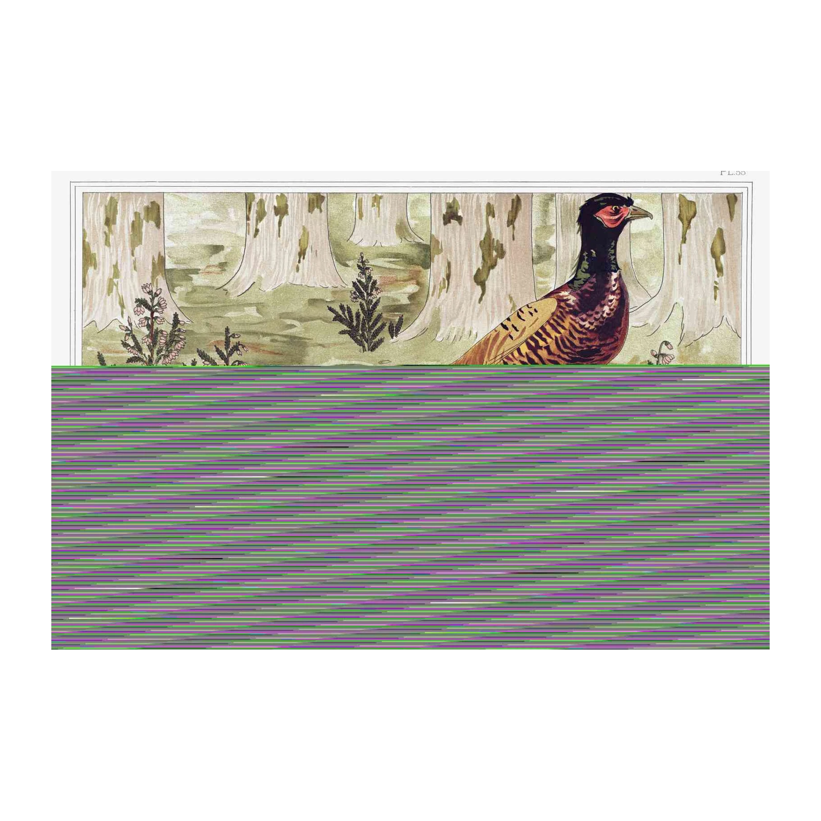 Vintage Pheasant Forest Wall Art