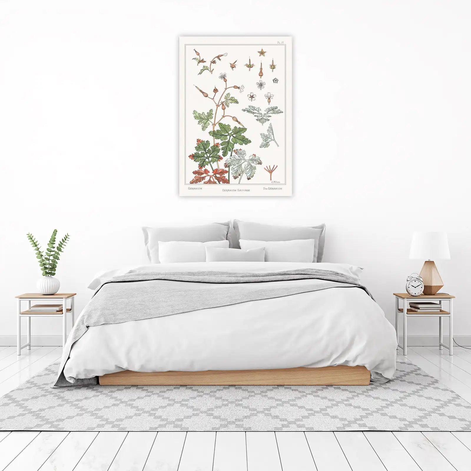 Vintage Botanical Geranium Art Wall Art
