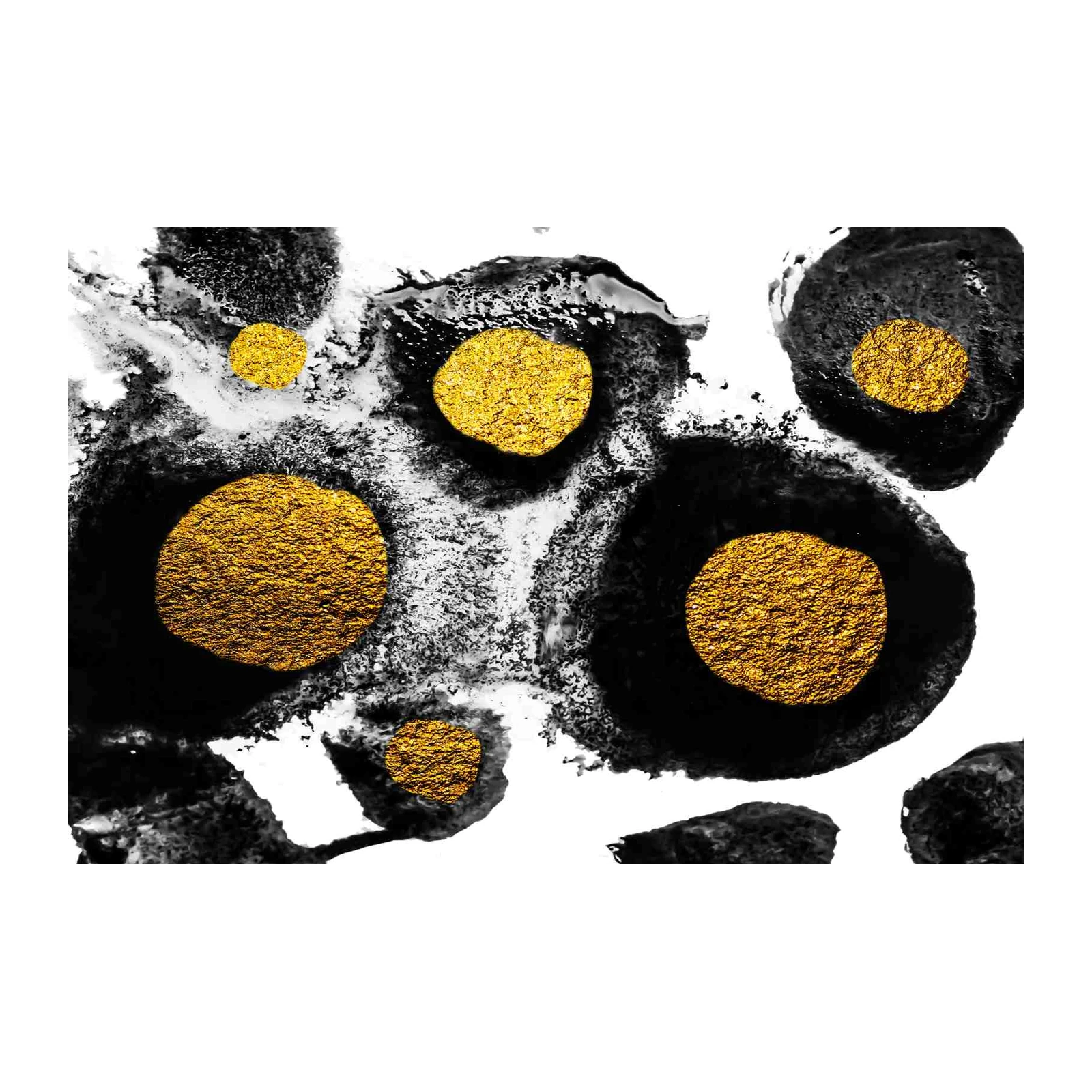 Abstract Gold & Black Circles Wall Art