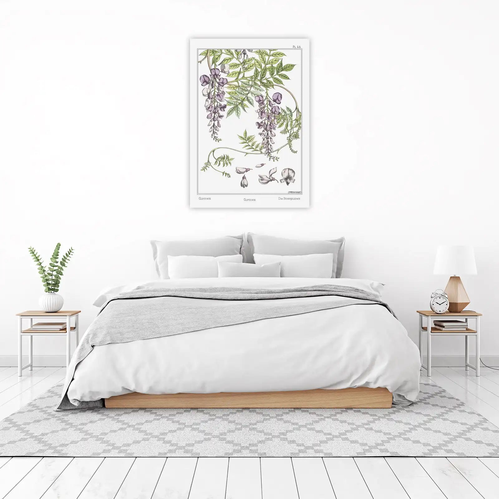 Vintage Wisteria Botanical Art Wall Art