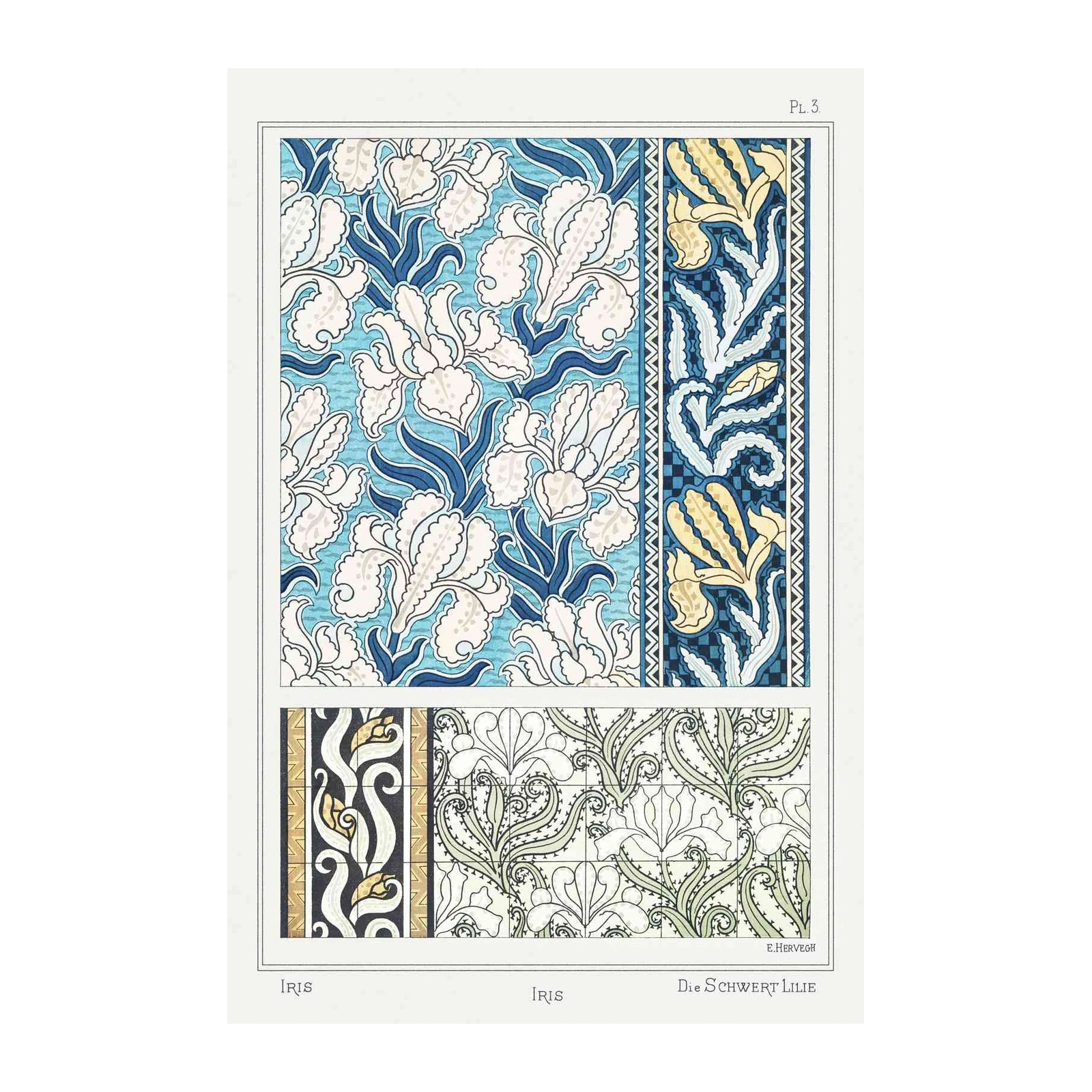 Art Nouveau Iris Floral Art Wall Art