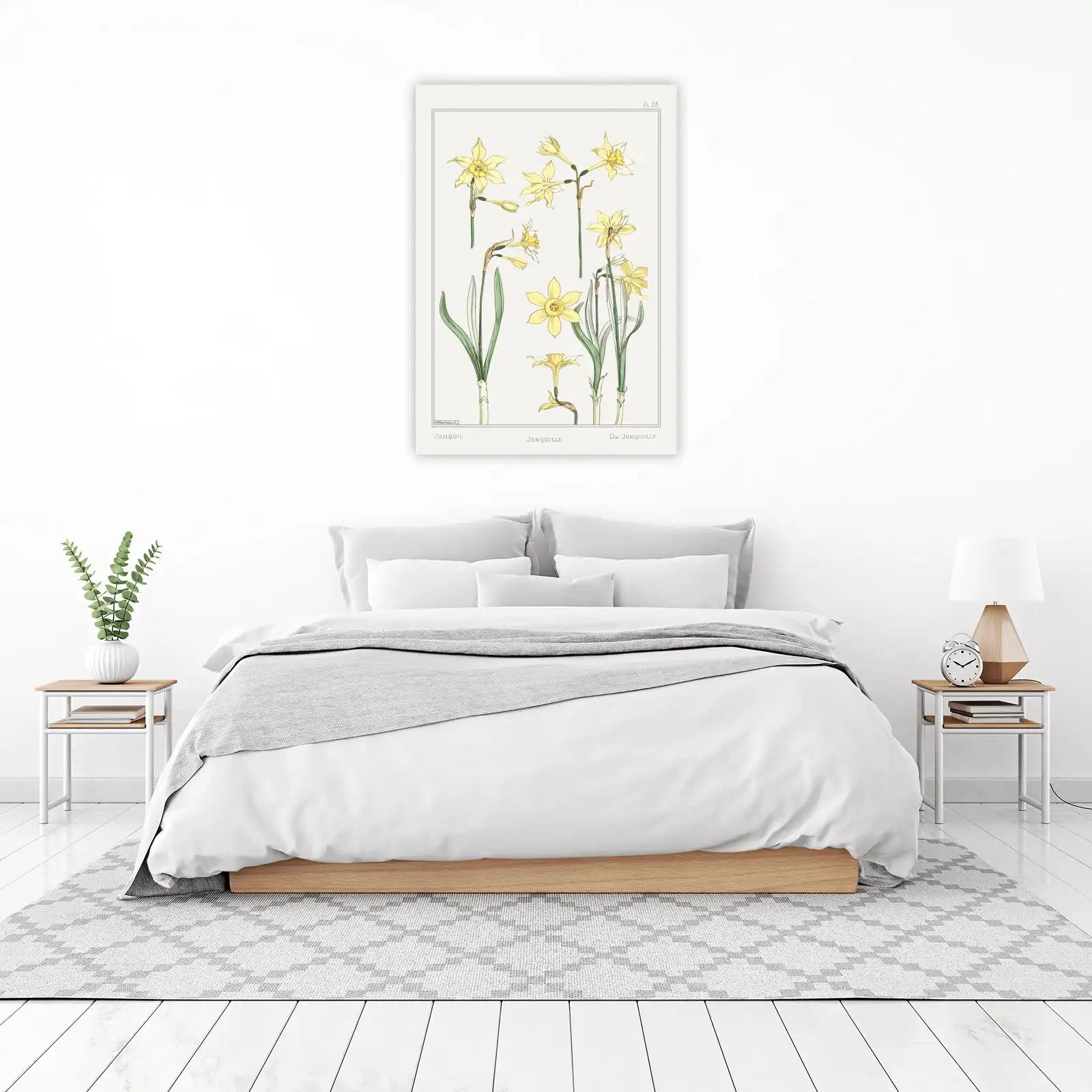 Vintage Botanical Jonquil Daffodil Art Wall Art