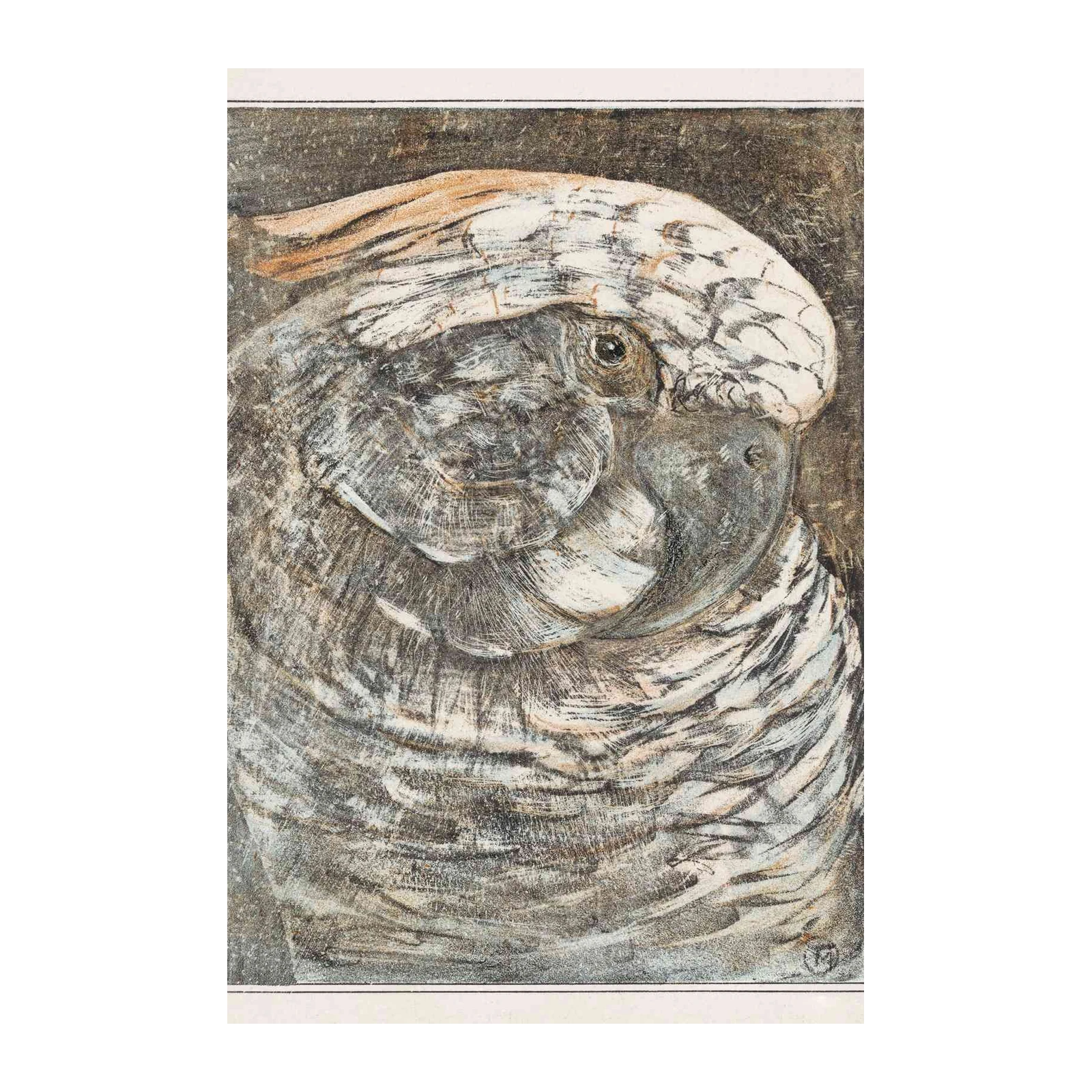 Elegant Cockatoo Portrait Wall Art - Exotic Bird Art