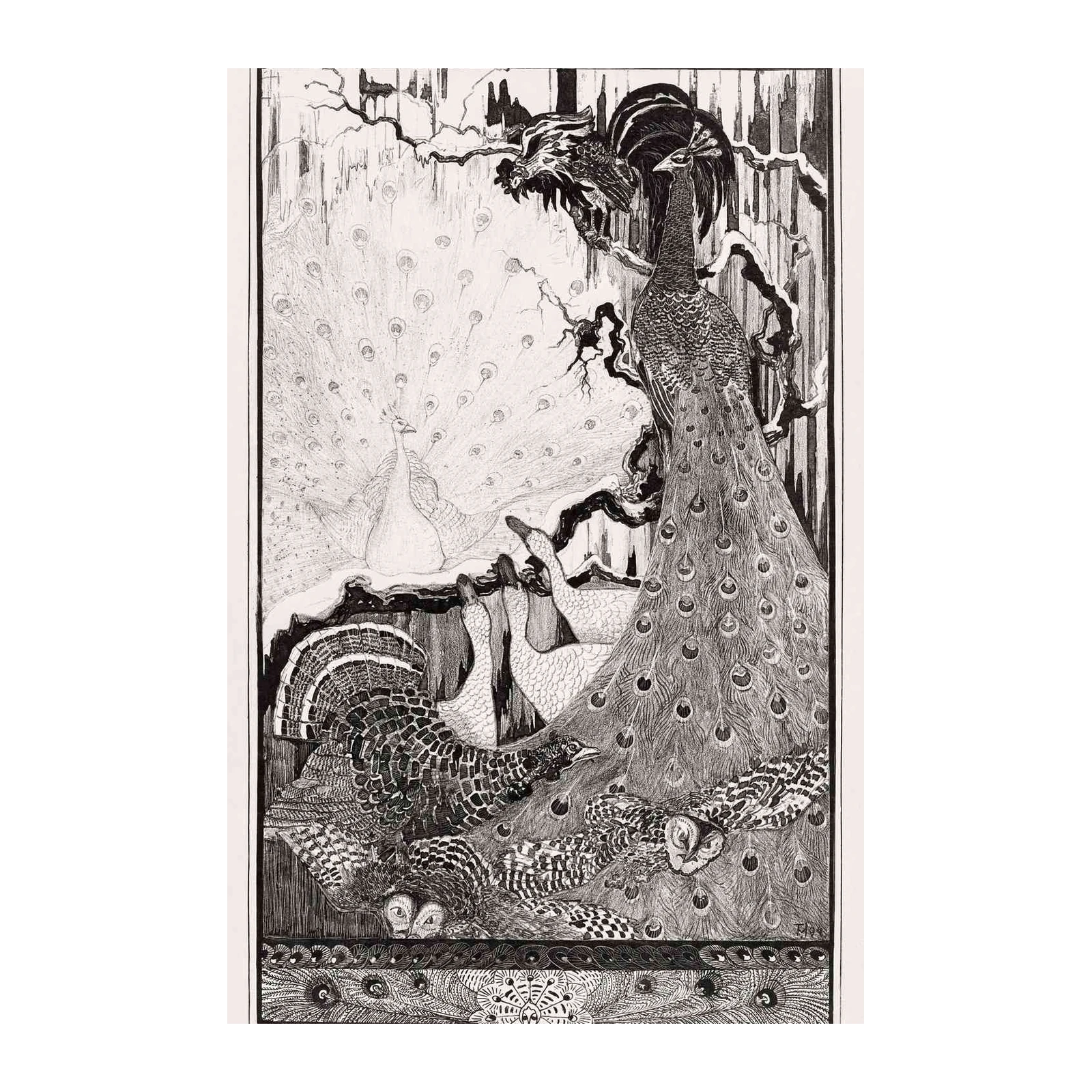 Exquisite Peacock & Dragon Art Wall Art