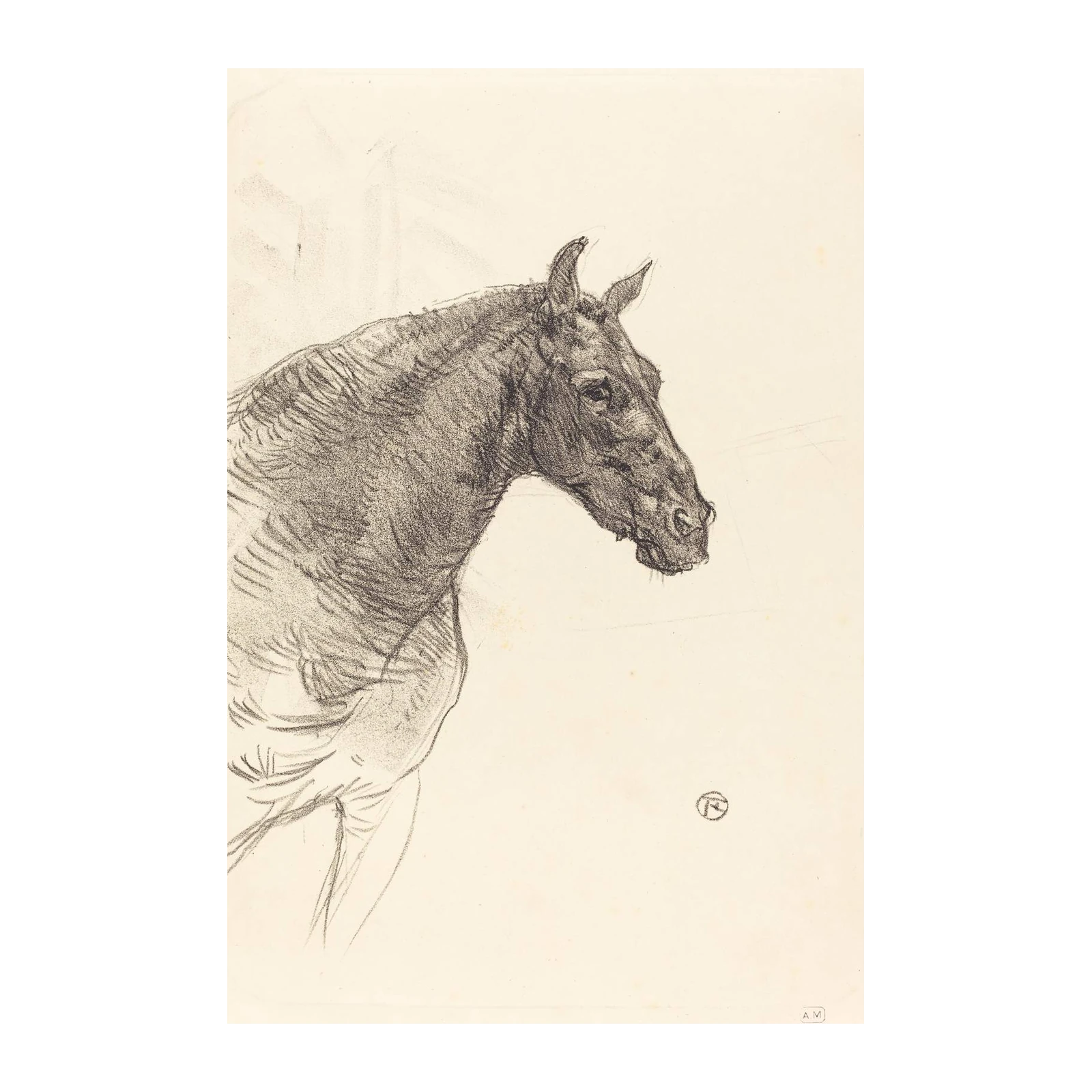 Elegant Horse Head Sketch Wall Art