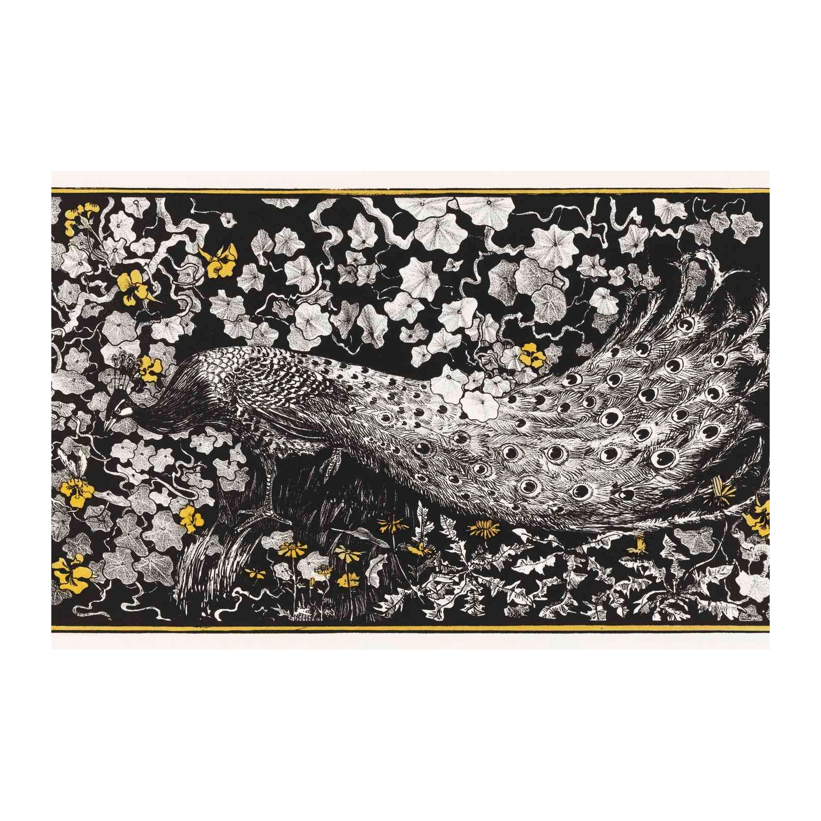 Elegant Peacock Floral Art Wall Art