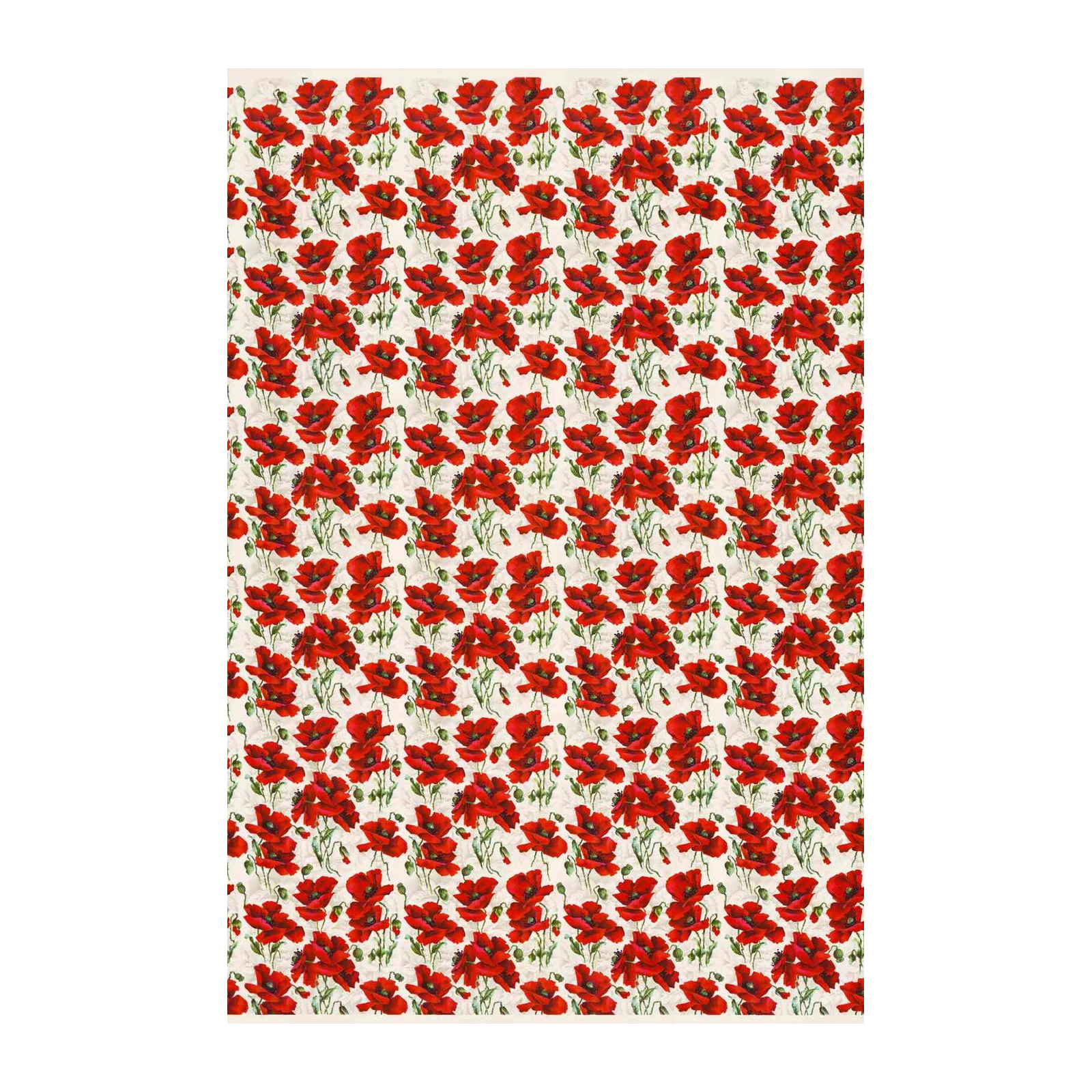 Vibrant Red Poppy Field Wall Art