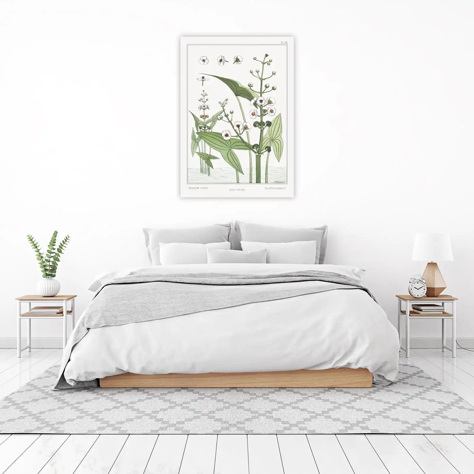 Elegant Arrowhead Botanical Illustration Wall Art